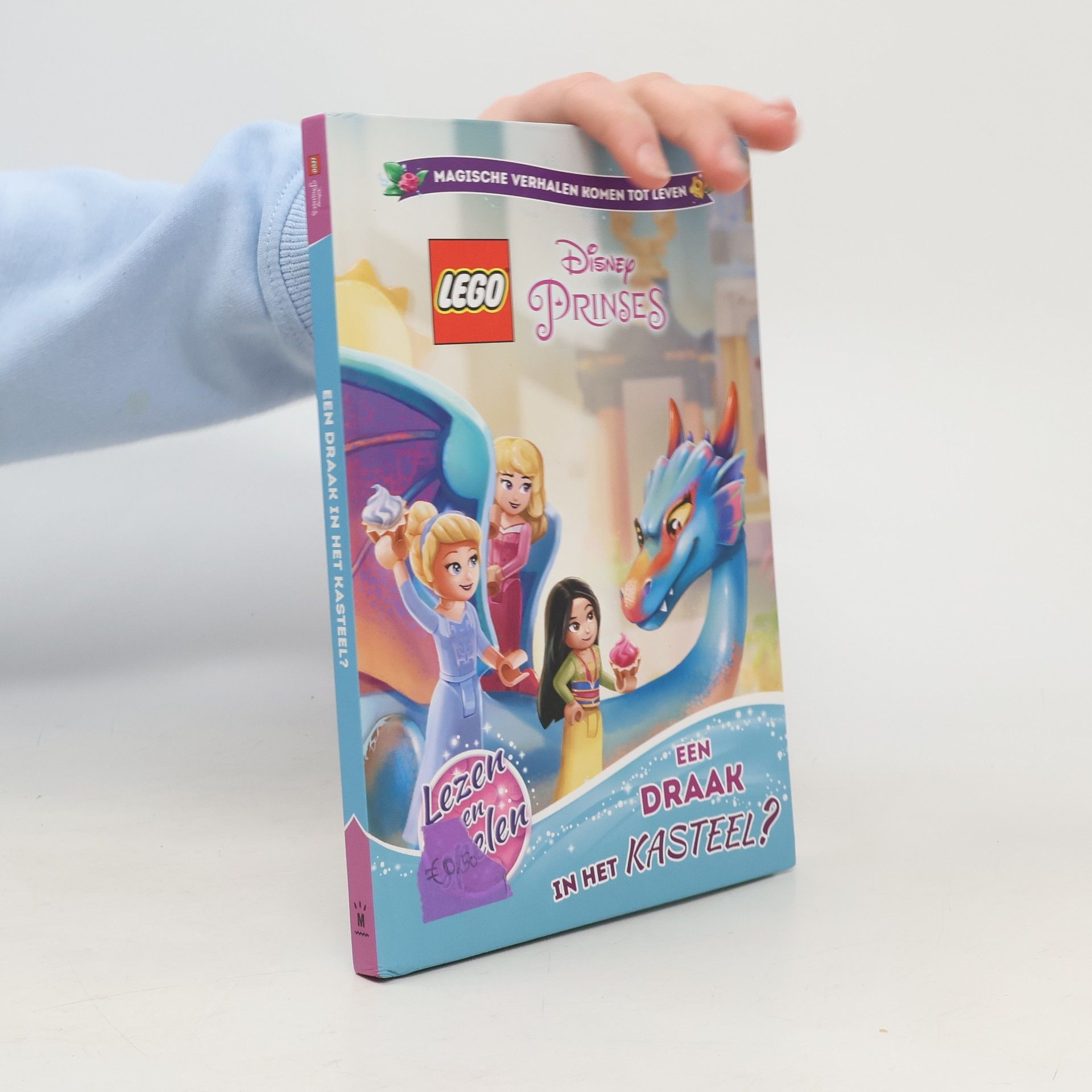 Auteurscollectief Disney Prinses. Een draak in het kasteel?