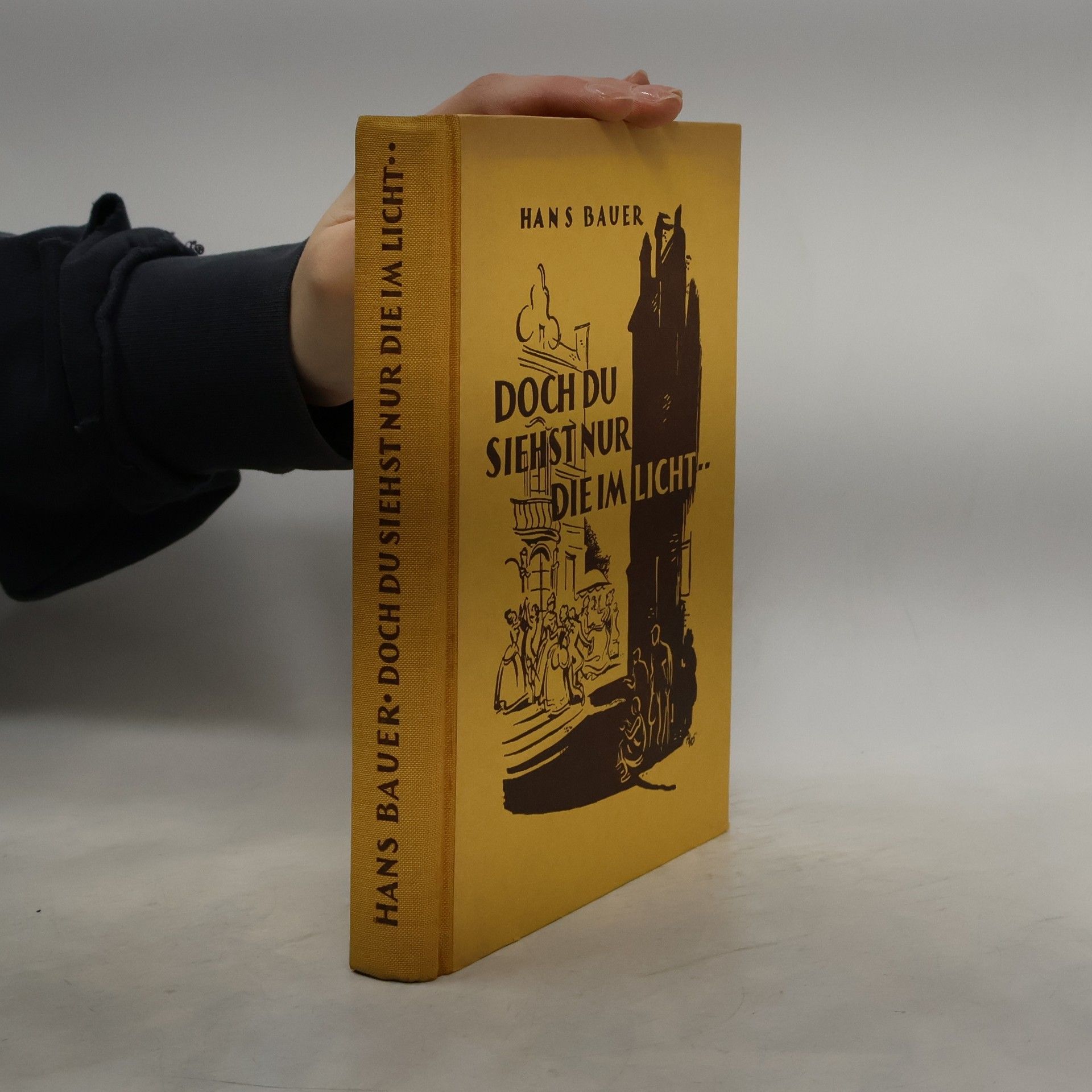 Doch du siehst nur die im Licht ...