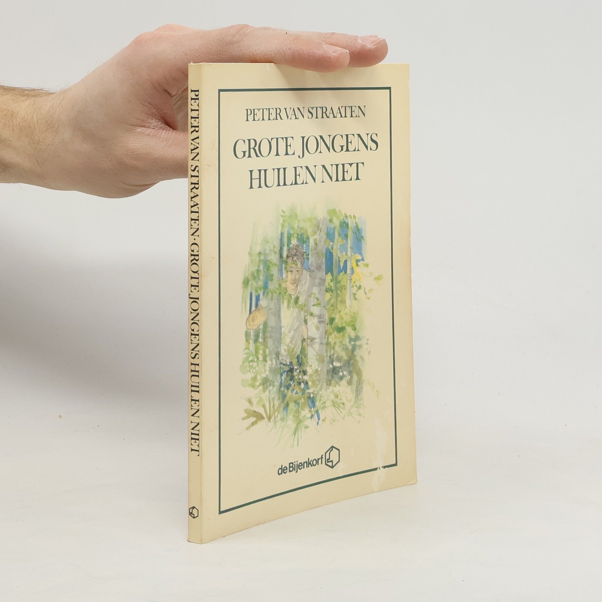 Peter van Straaten Grote jongens huilen niet