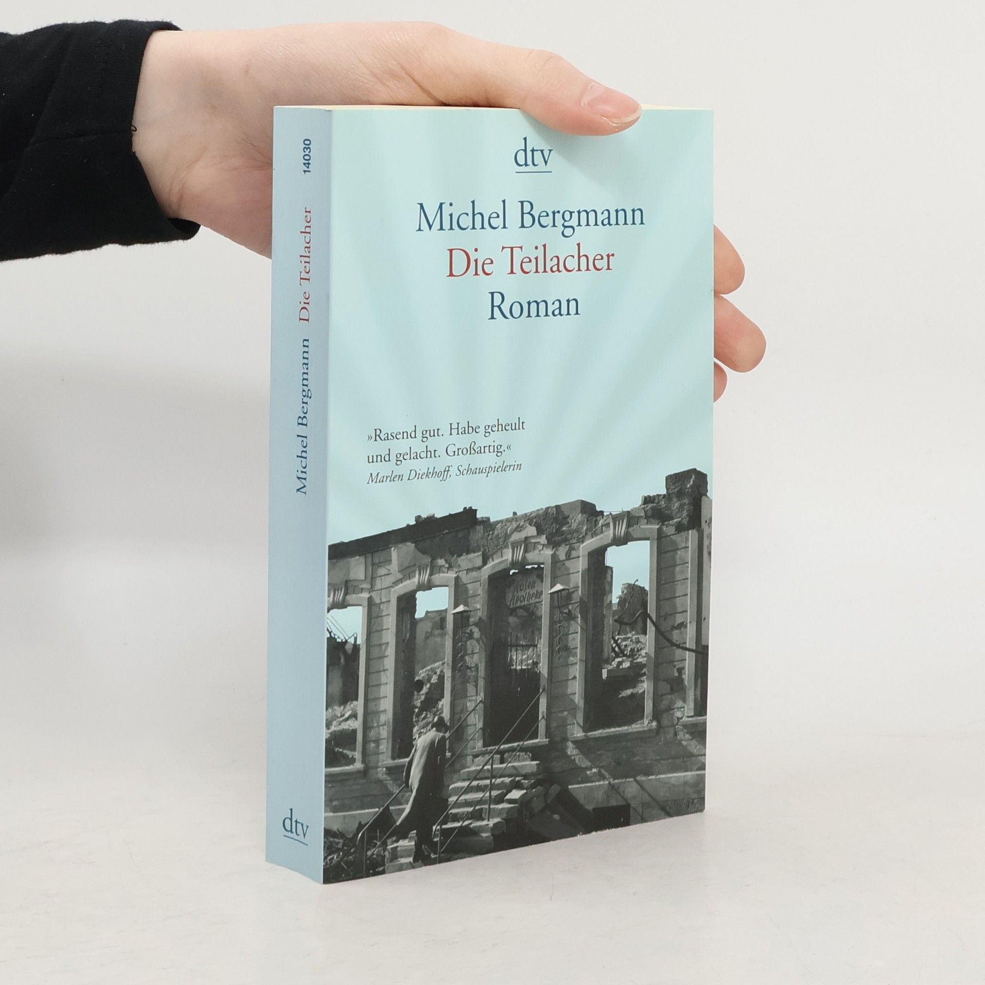 Michel Bergmann Die Teilacher