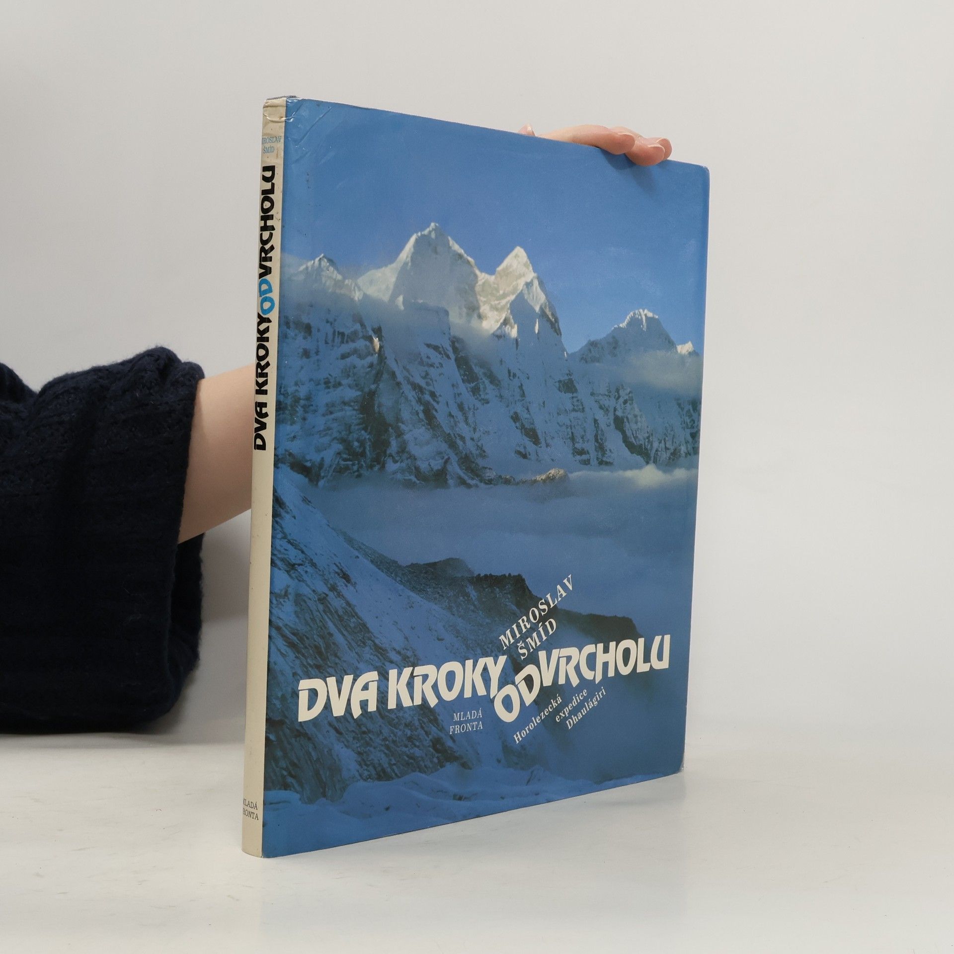 Miroslav Šmíd Dva kroky od vrcholu