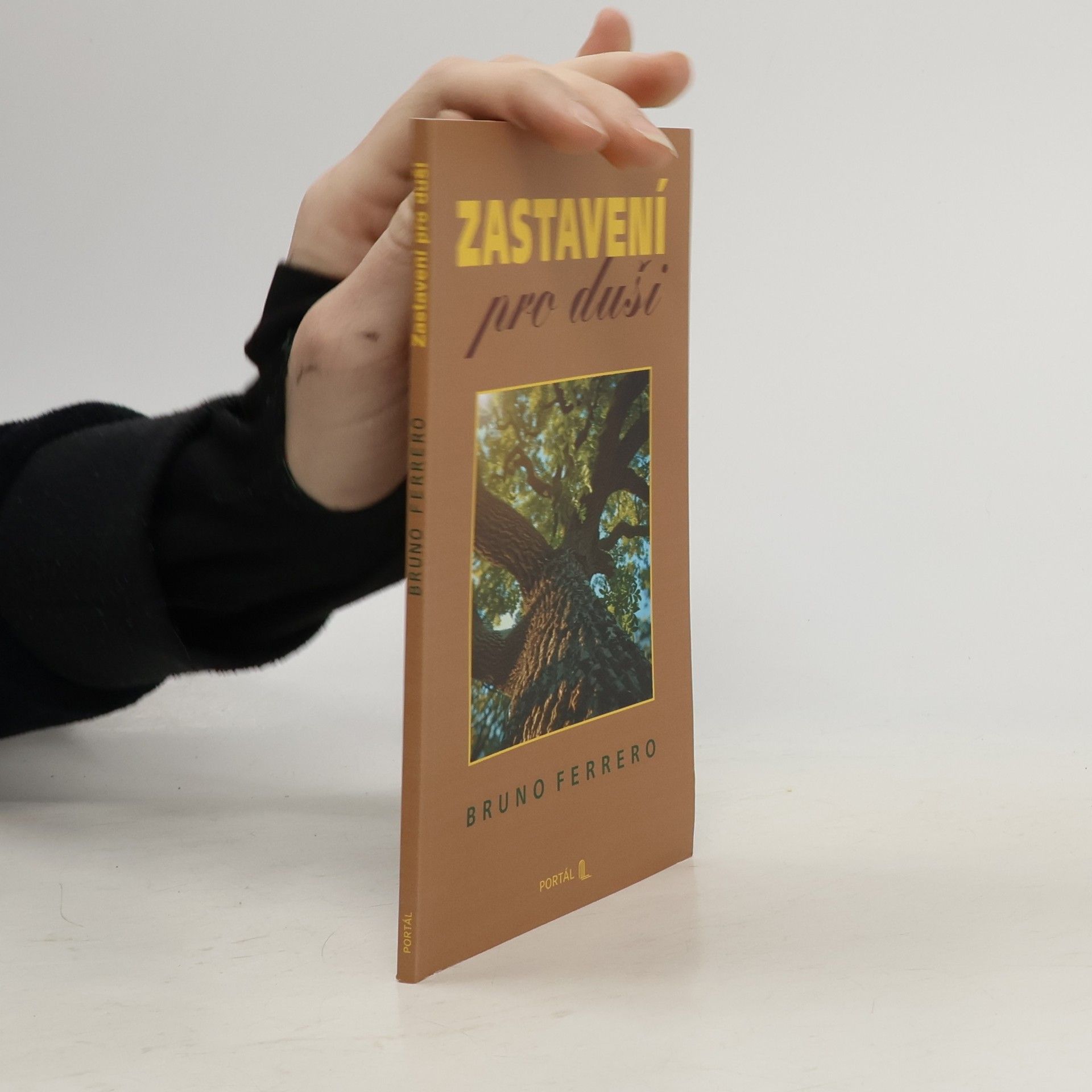 Bruno Ferrero Zastavení pro duši