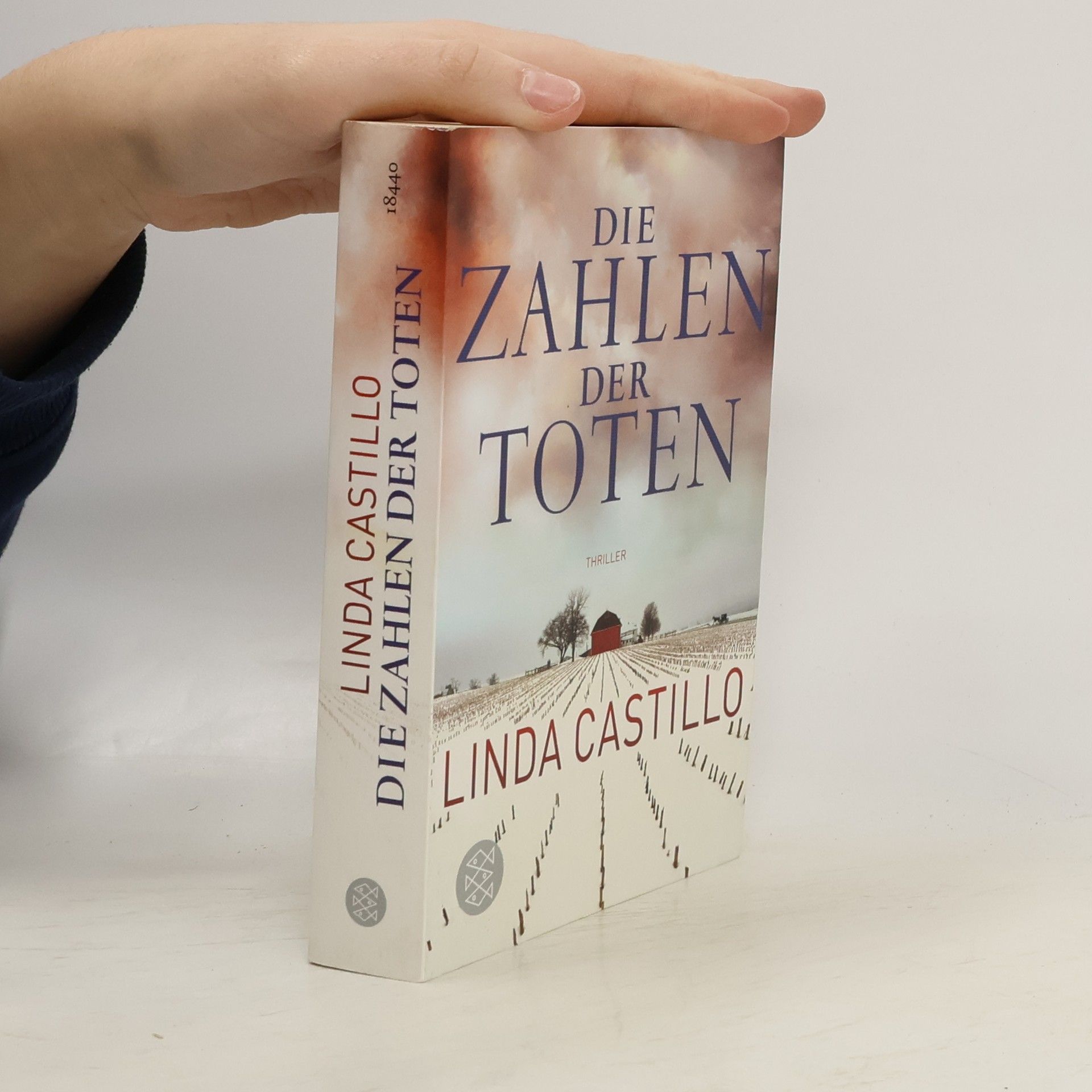 Linda Castillo Die Zahlen der Toten