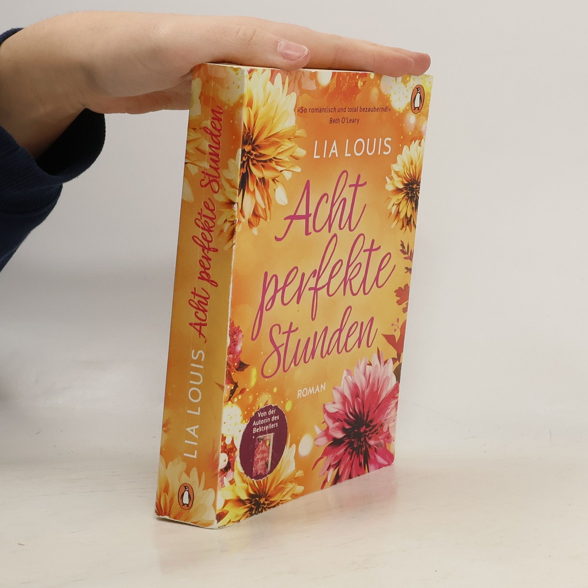 Lia Louis Acht perfekte Stunden