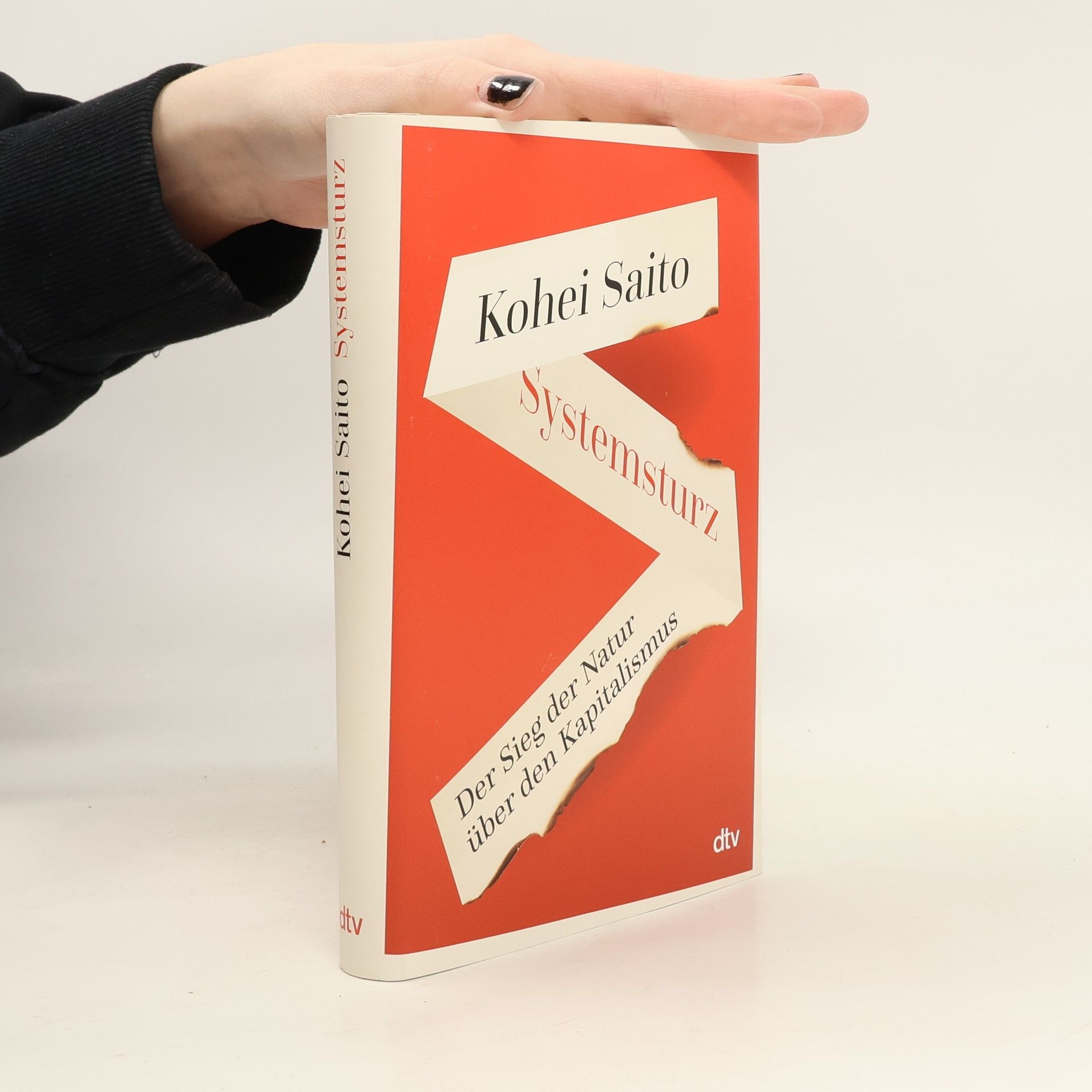 Kōhei Saitō Systemsturz