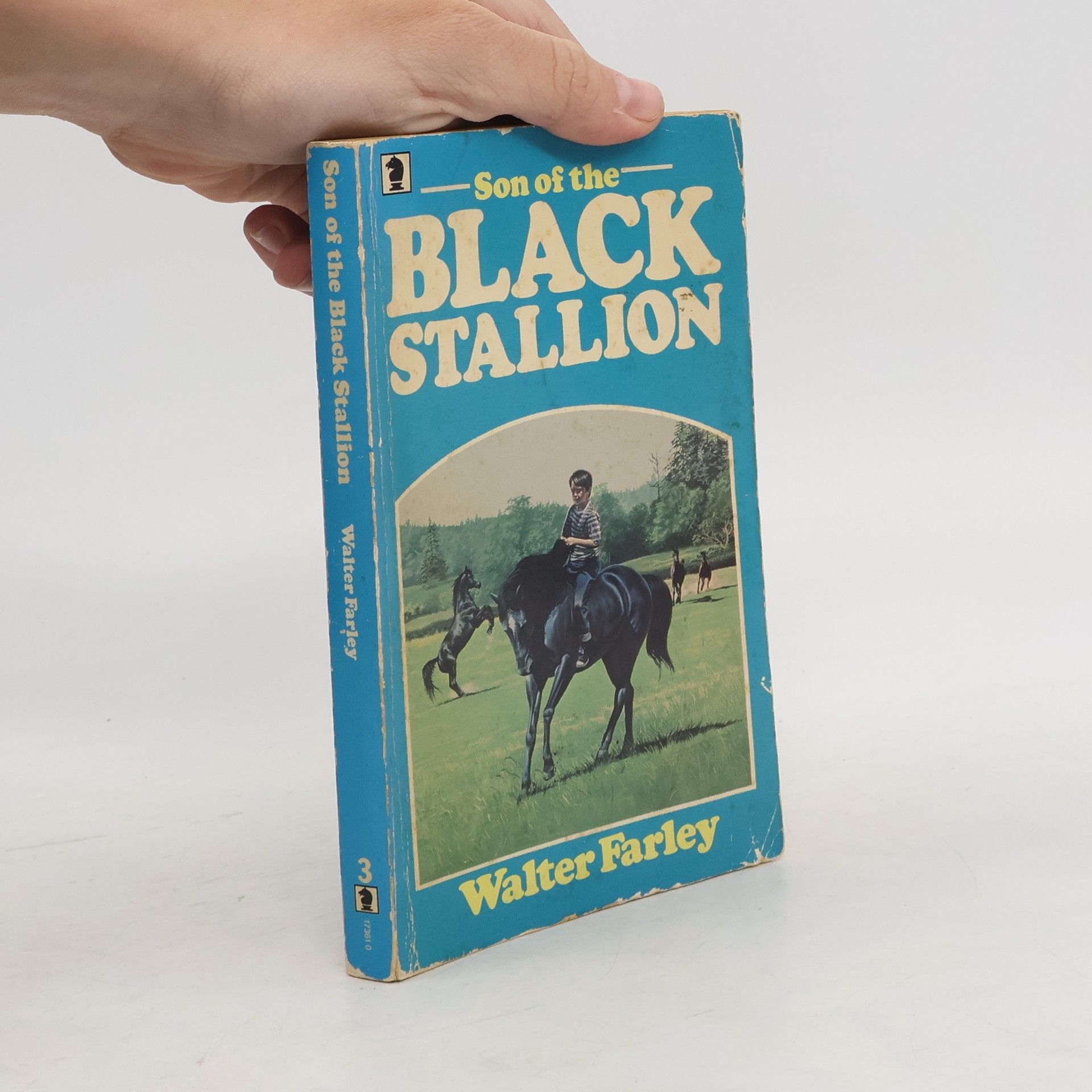 Son of the Black Stallion
