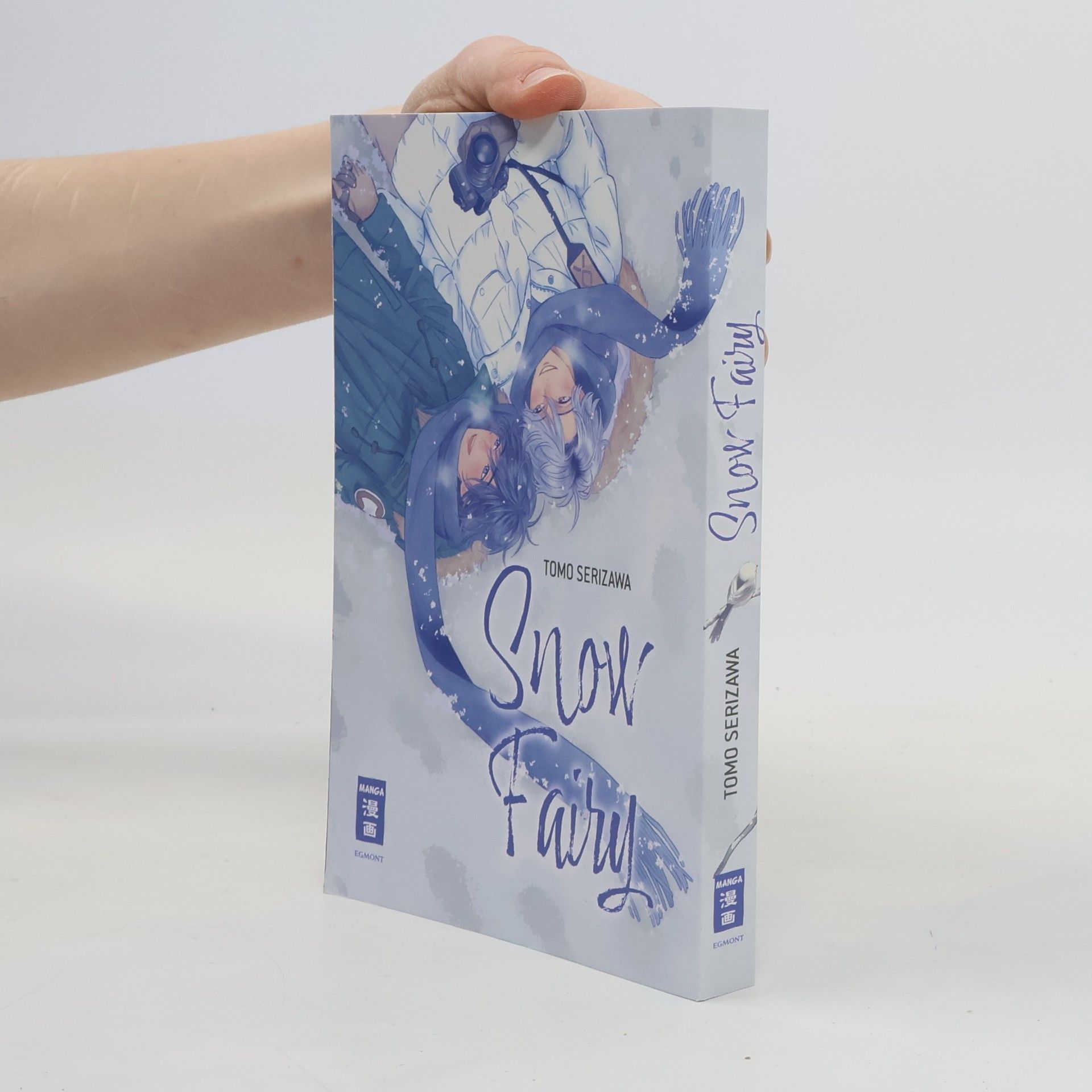 Tomo Serizawa Snow Fairy