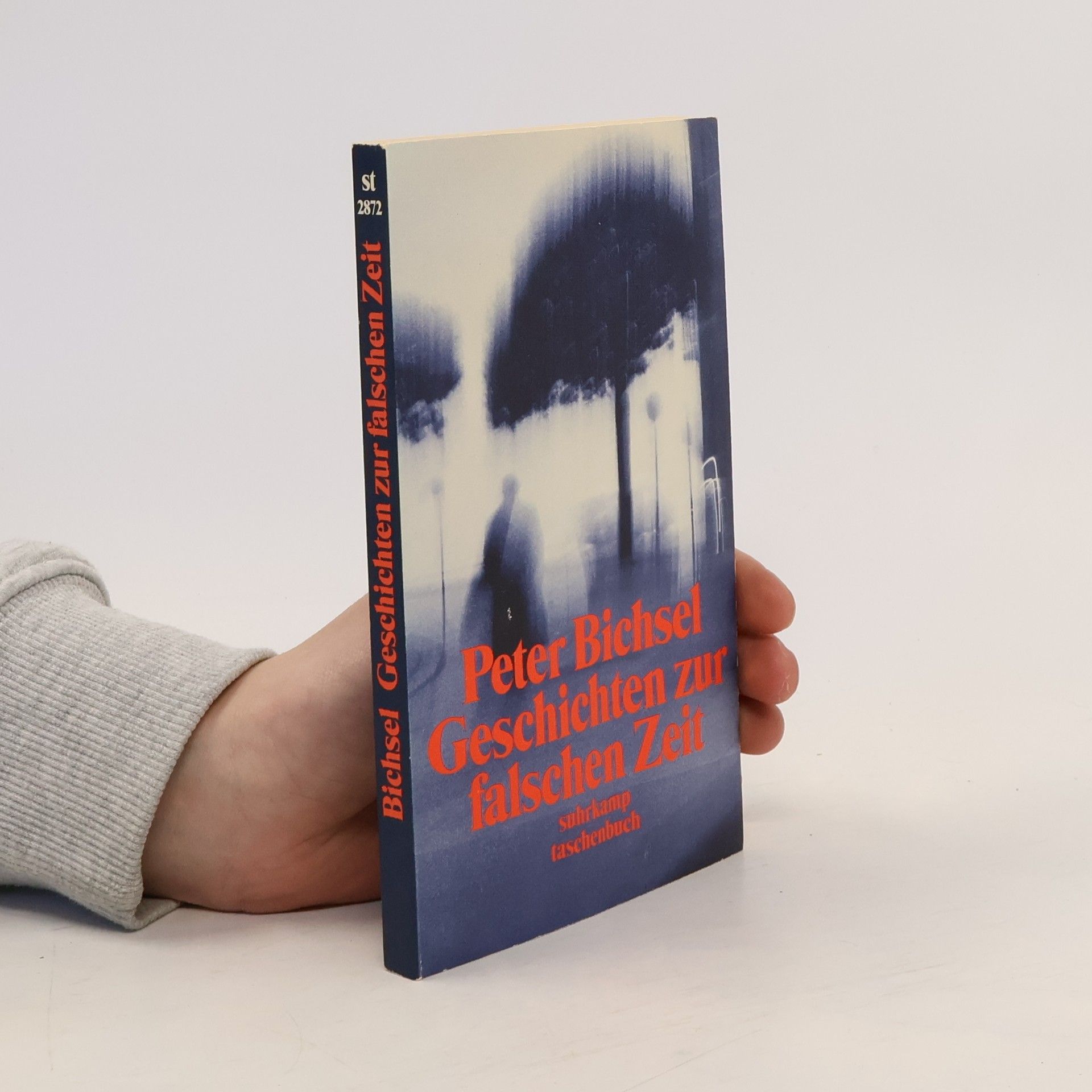 Peter Bichsel Geschichten zur falschen Zeit