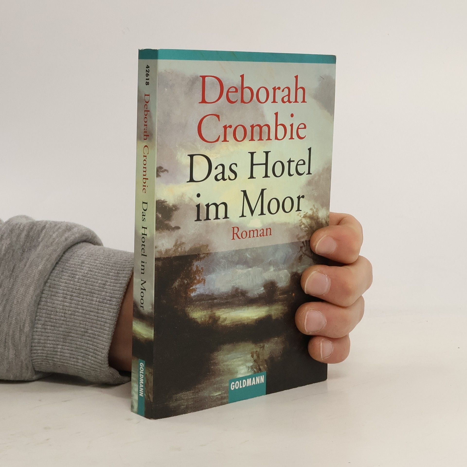 Mechtild Sandberg-Ciletti Das Hotel im Moor : Roman