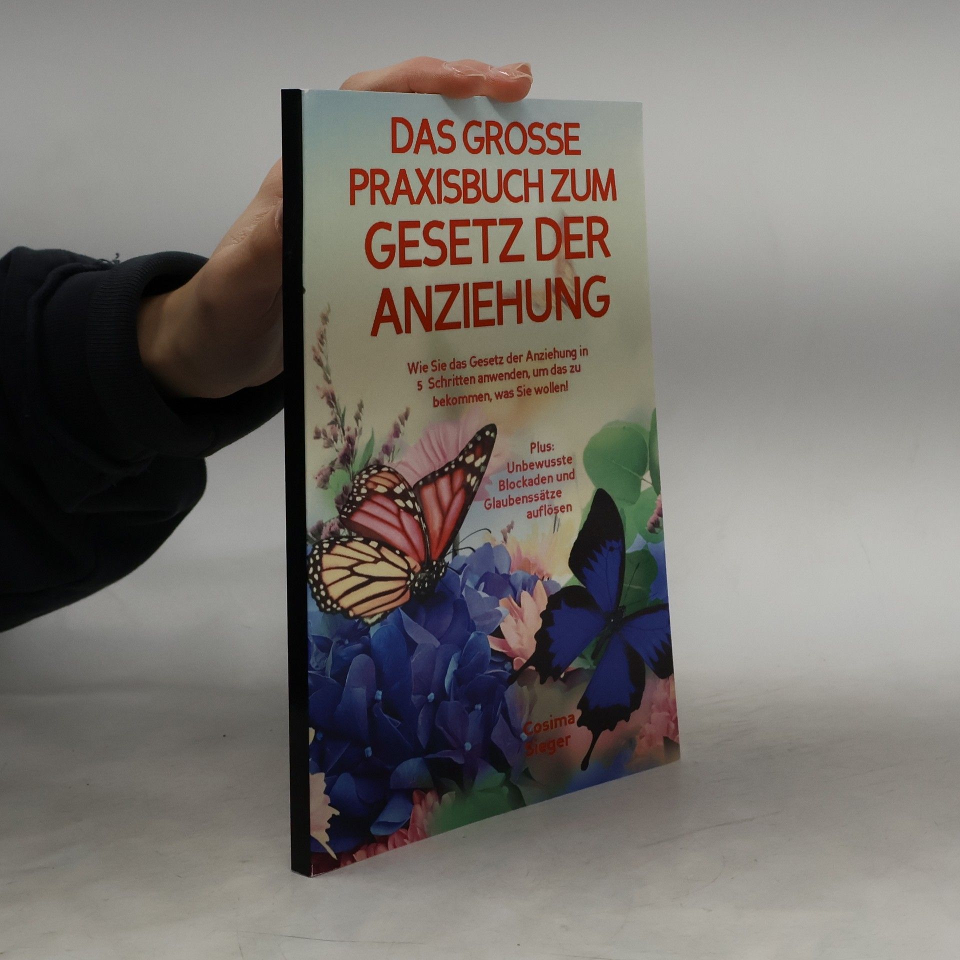 Das grosse Praxisbuch zum Gesetz der Anziehung!
