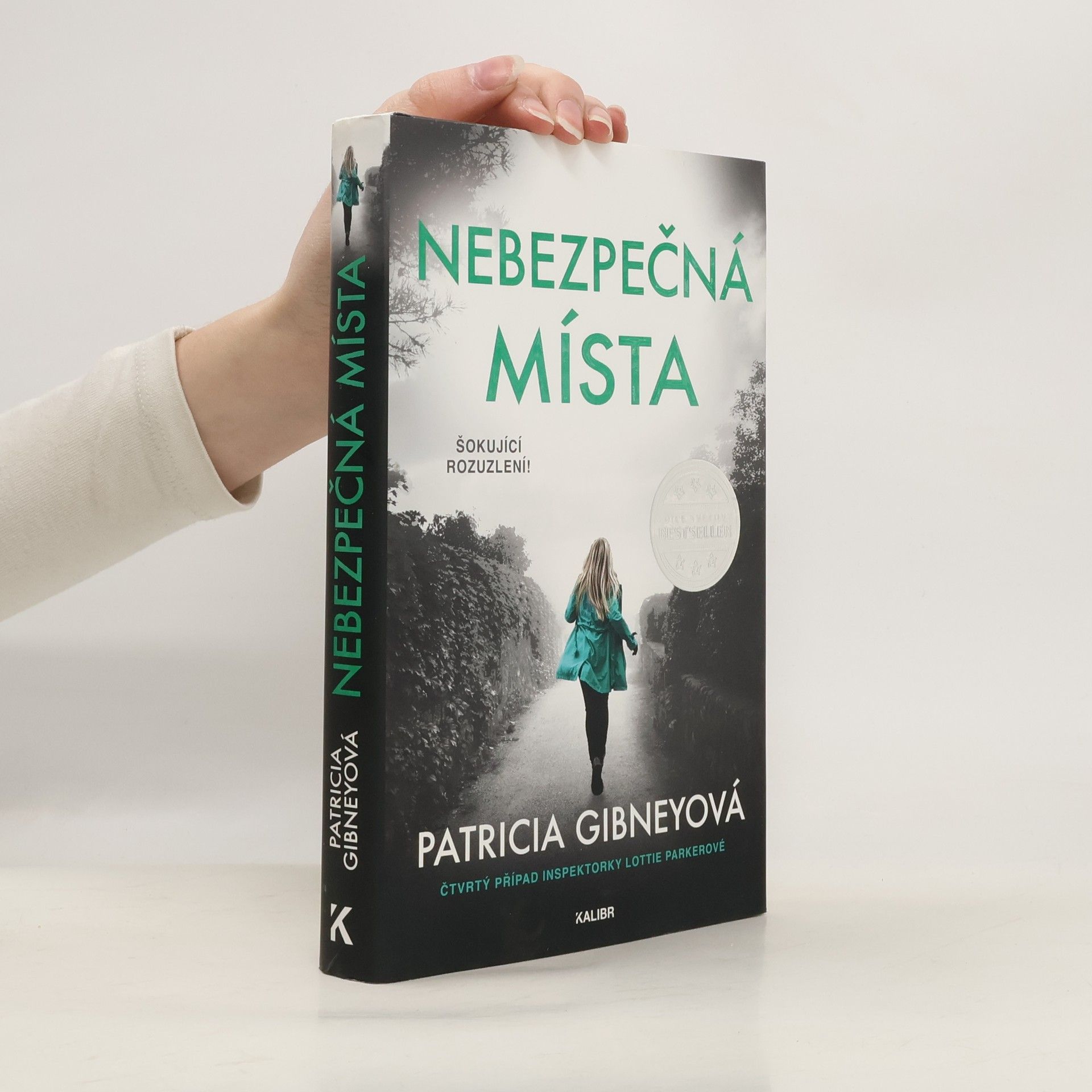 Patricia Gibney Nebezpečná místa