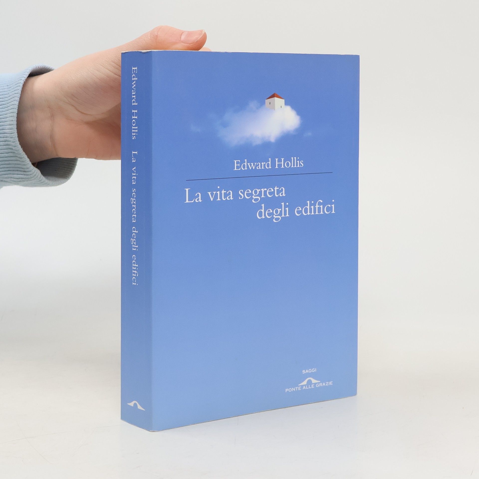 Edward Hollis Saggi: La vita segreta degli edifici