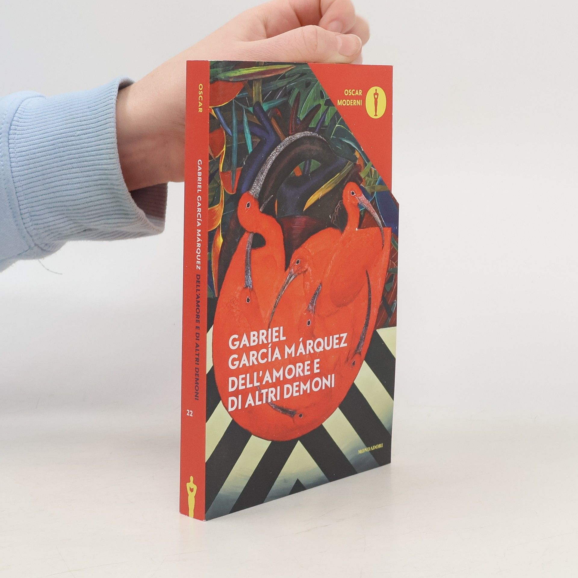 Oscar Moderni - 22: Dell'amore e di altri demoni