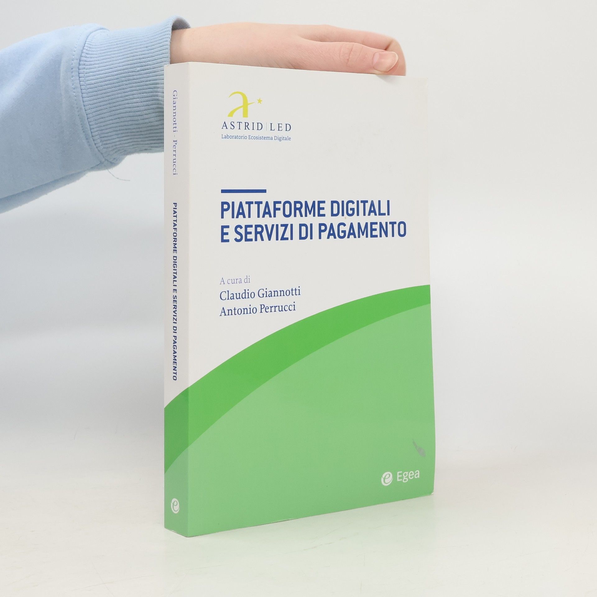 Claudio Giannotti Piattaforme digitali e servizi di pagamento