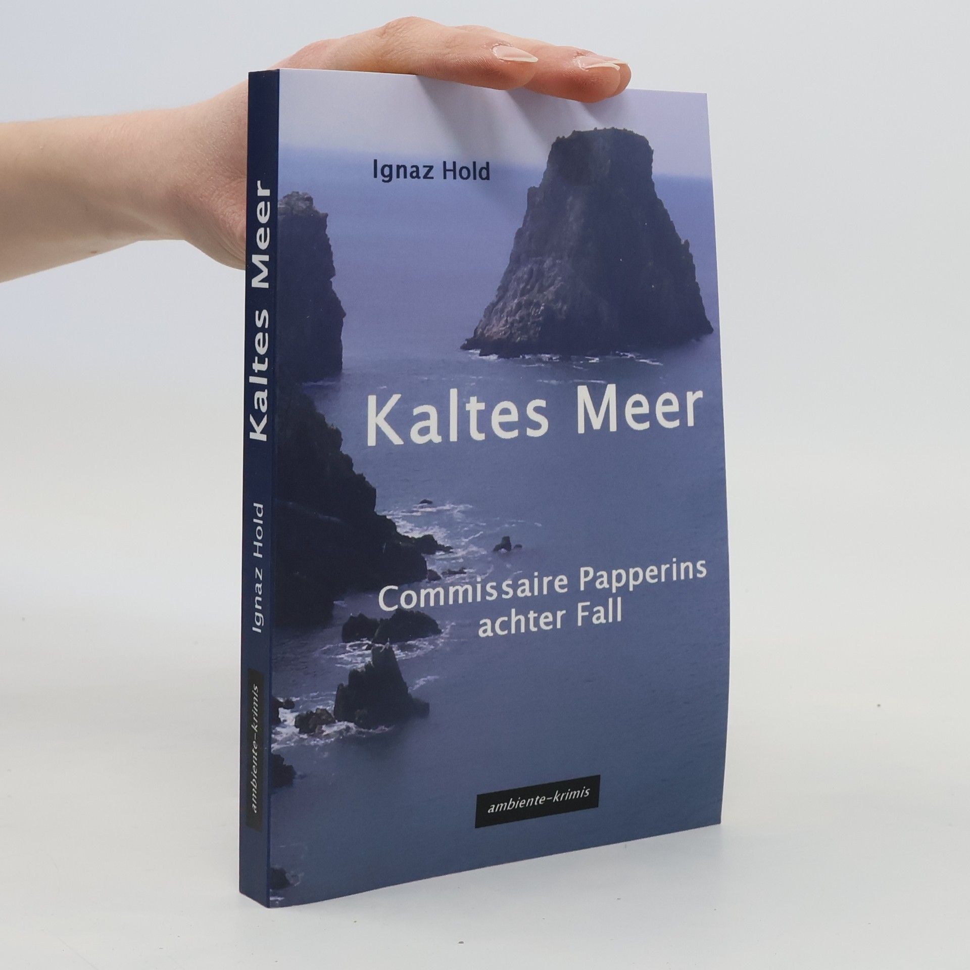 Ignaz Hold Kaltes Meer