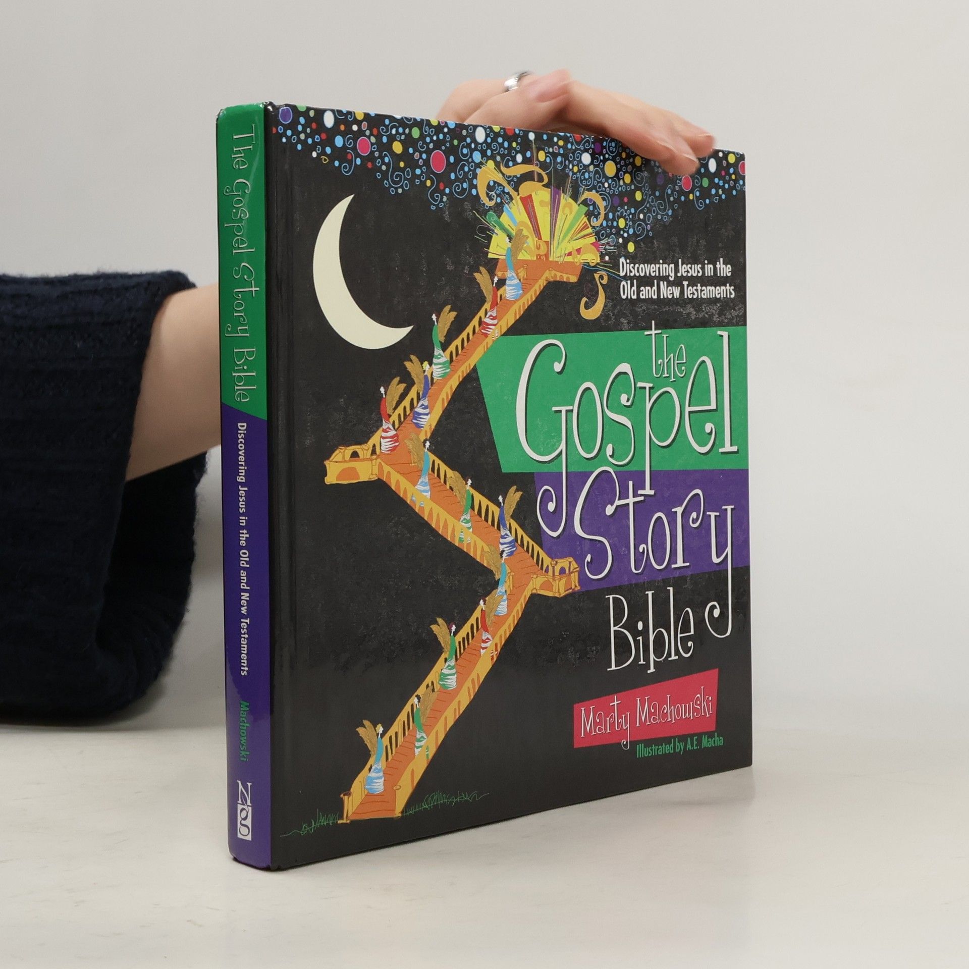 The Gospel Story Bible