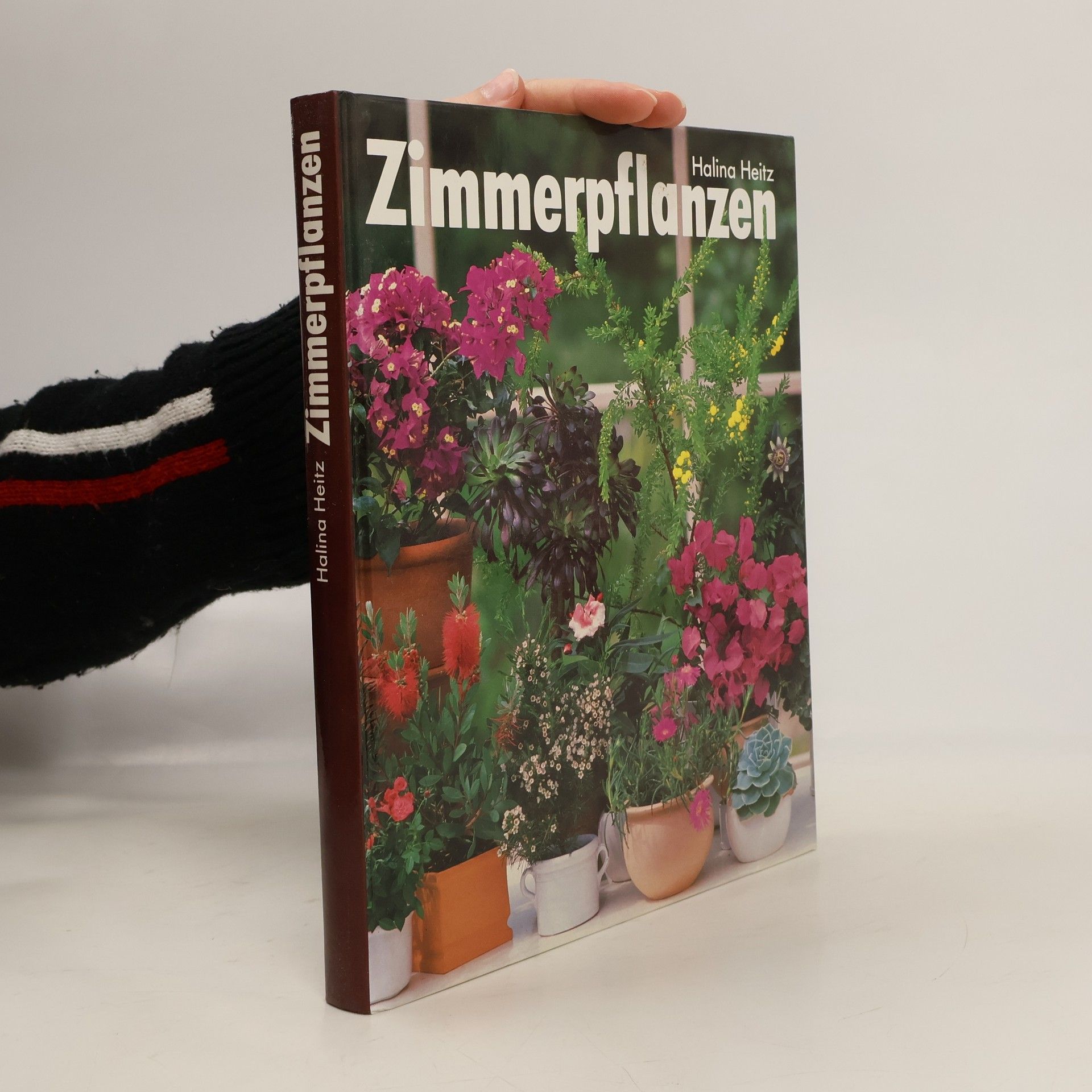 Halina Heitz Zimmerpflanzen