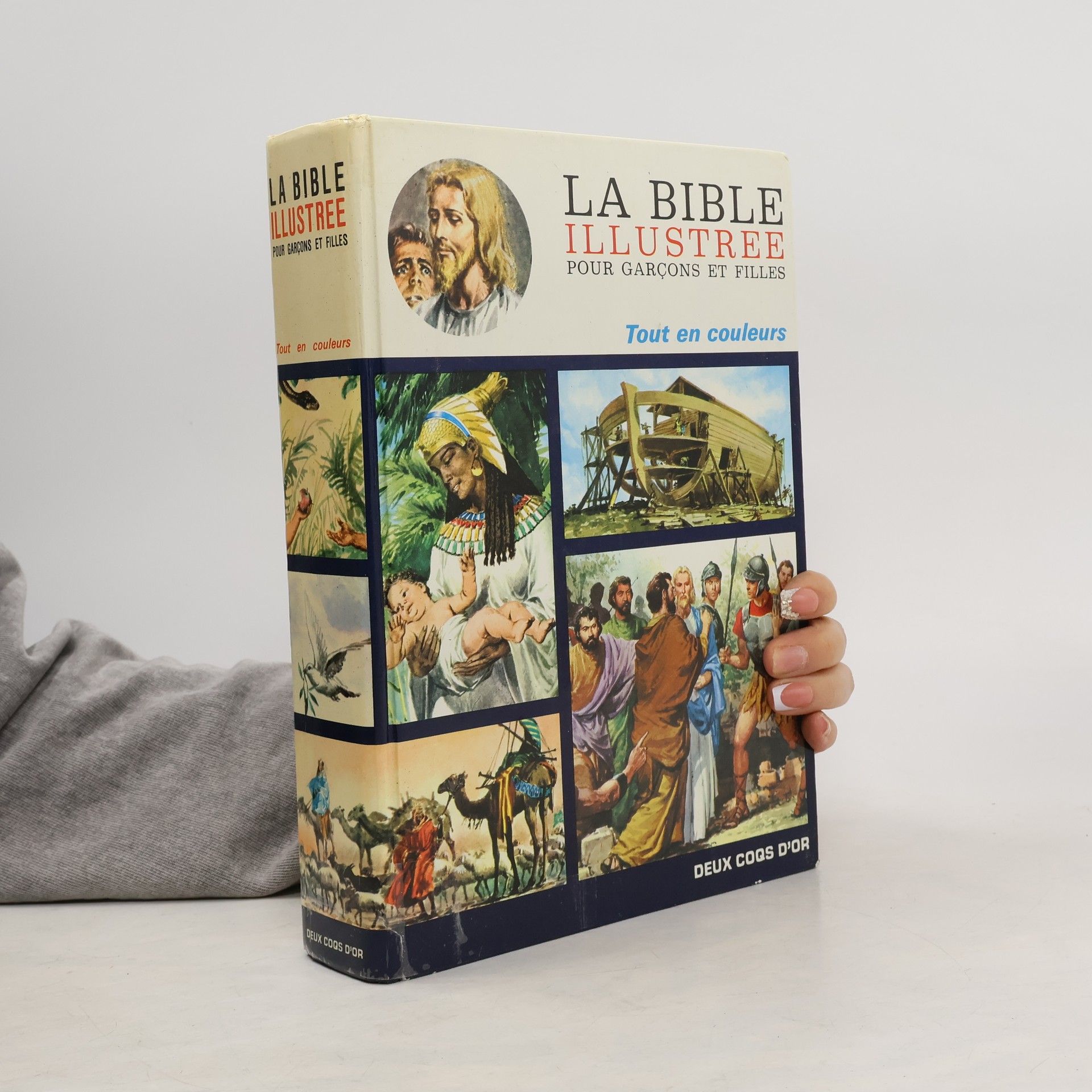 Collectif d'auteurs La Bible illustree pour garçons et filles
