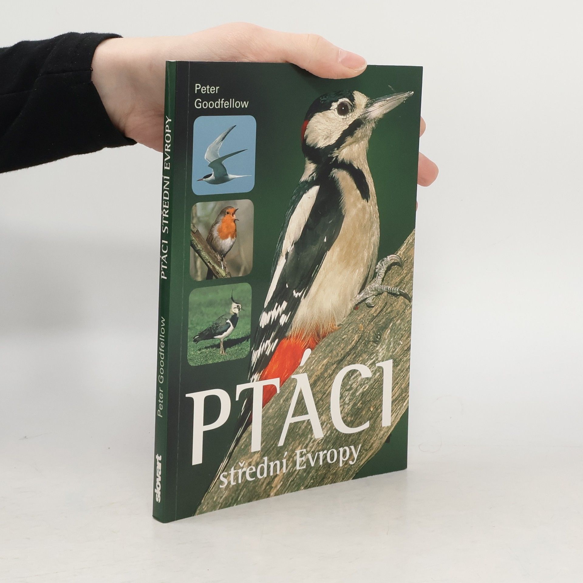 Ptáci střední Evropy