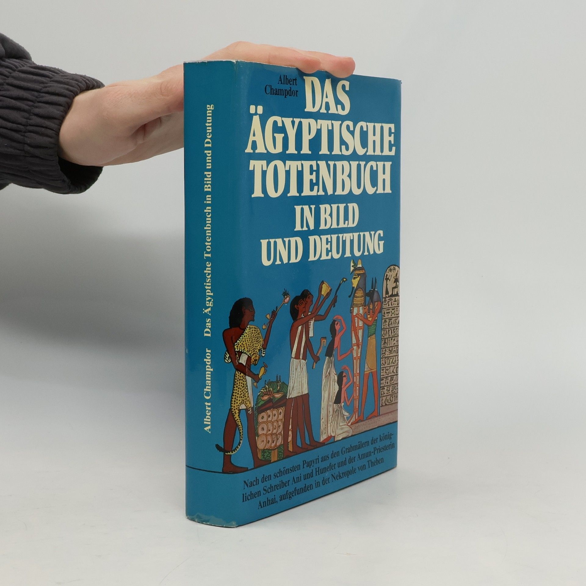 Das ägyptische Totenbuch in Bild und Deutung