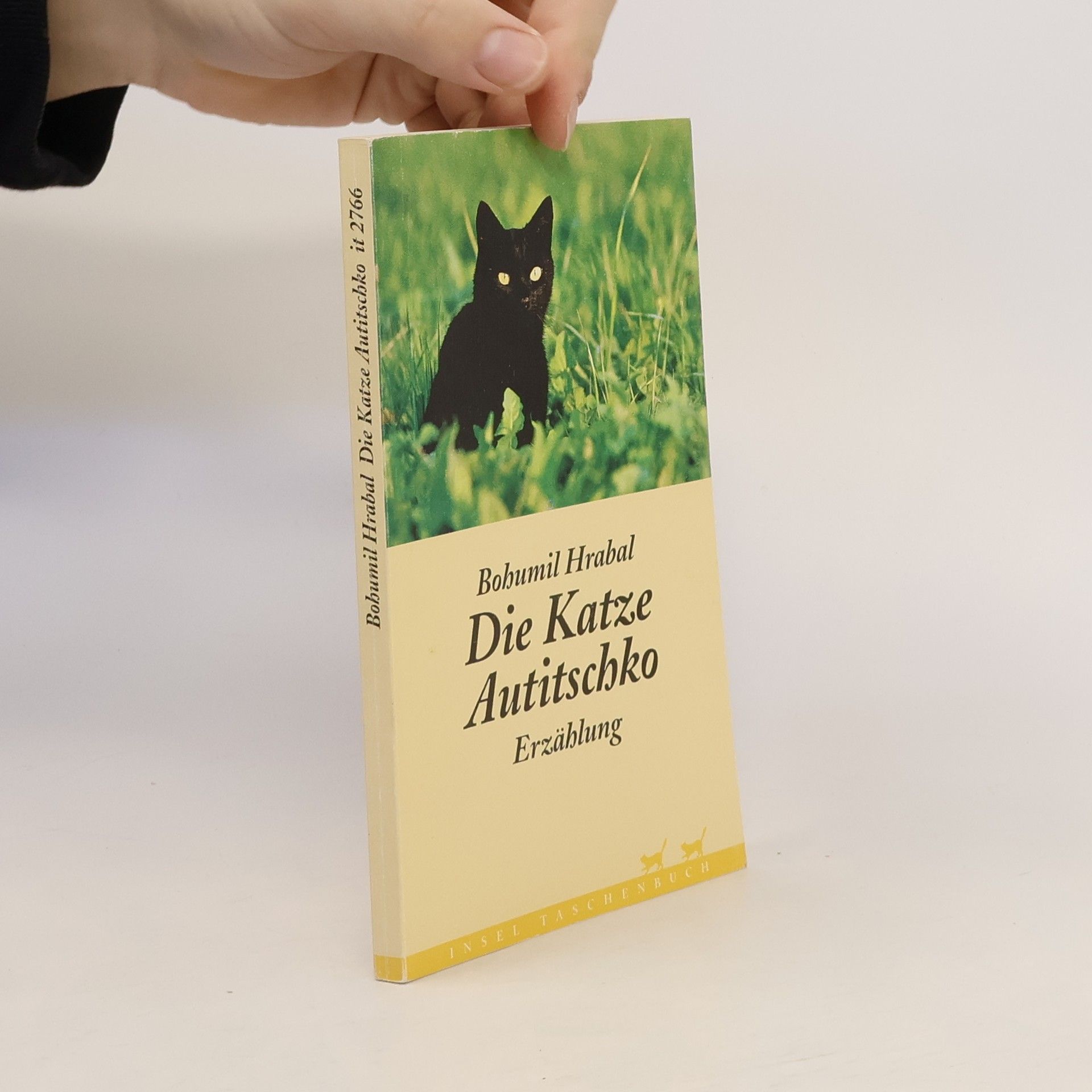 Bohumil Hrabal Die Katze Autitschko