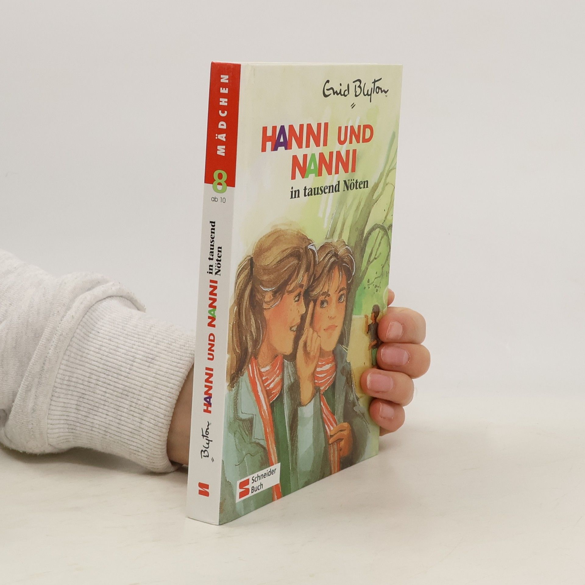 Enid Blyton Hanni und Nanni in tausend Nöten