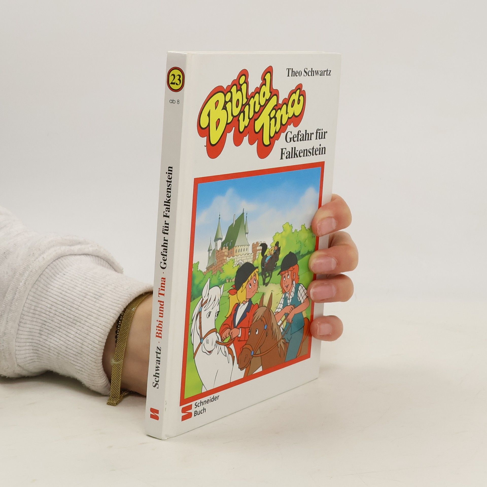 Theo Schwartz Bibi und Tina. Gefahr für Falkenstein