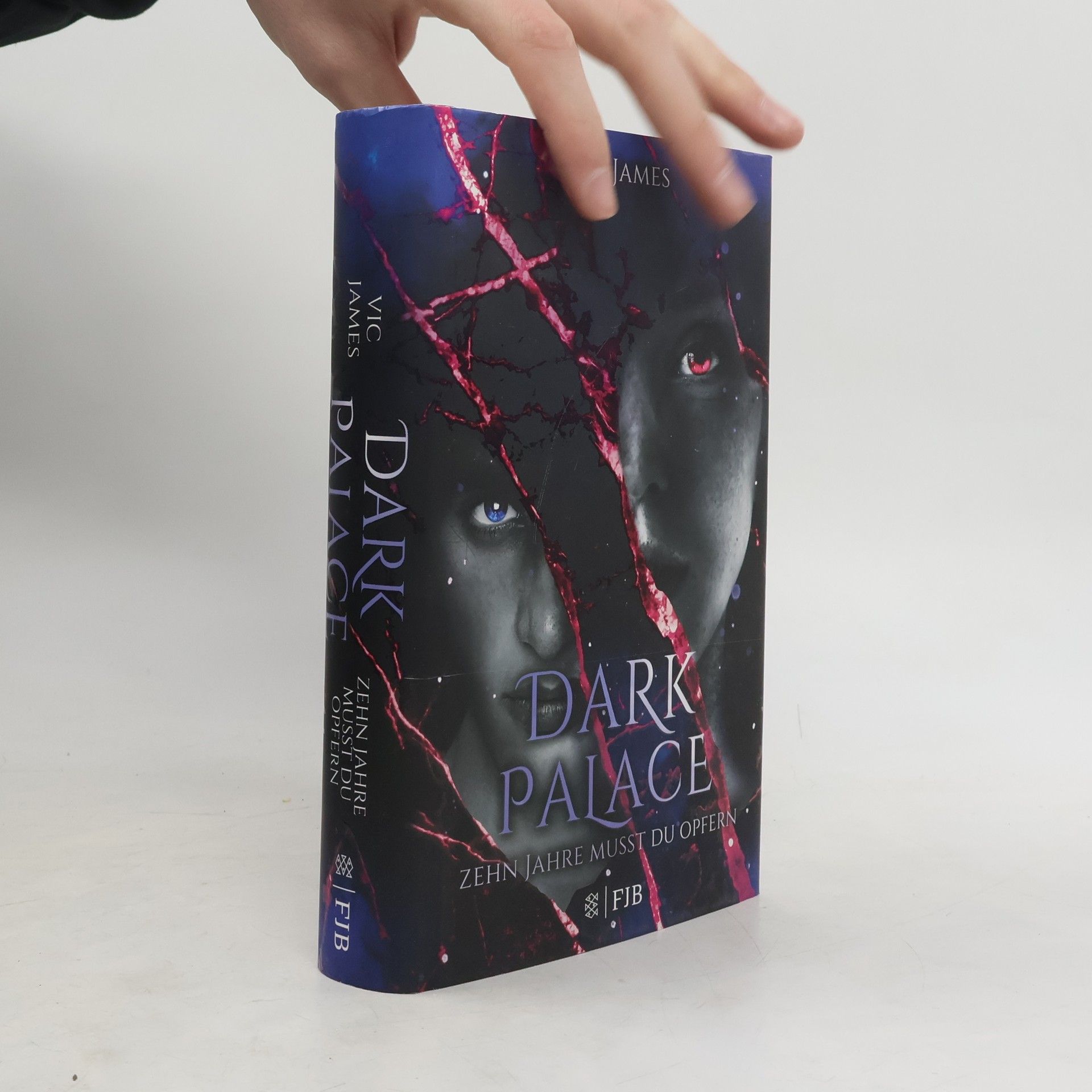 Vic James Dark palace - zehn Jahre musst du opfern