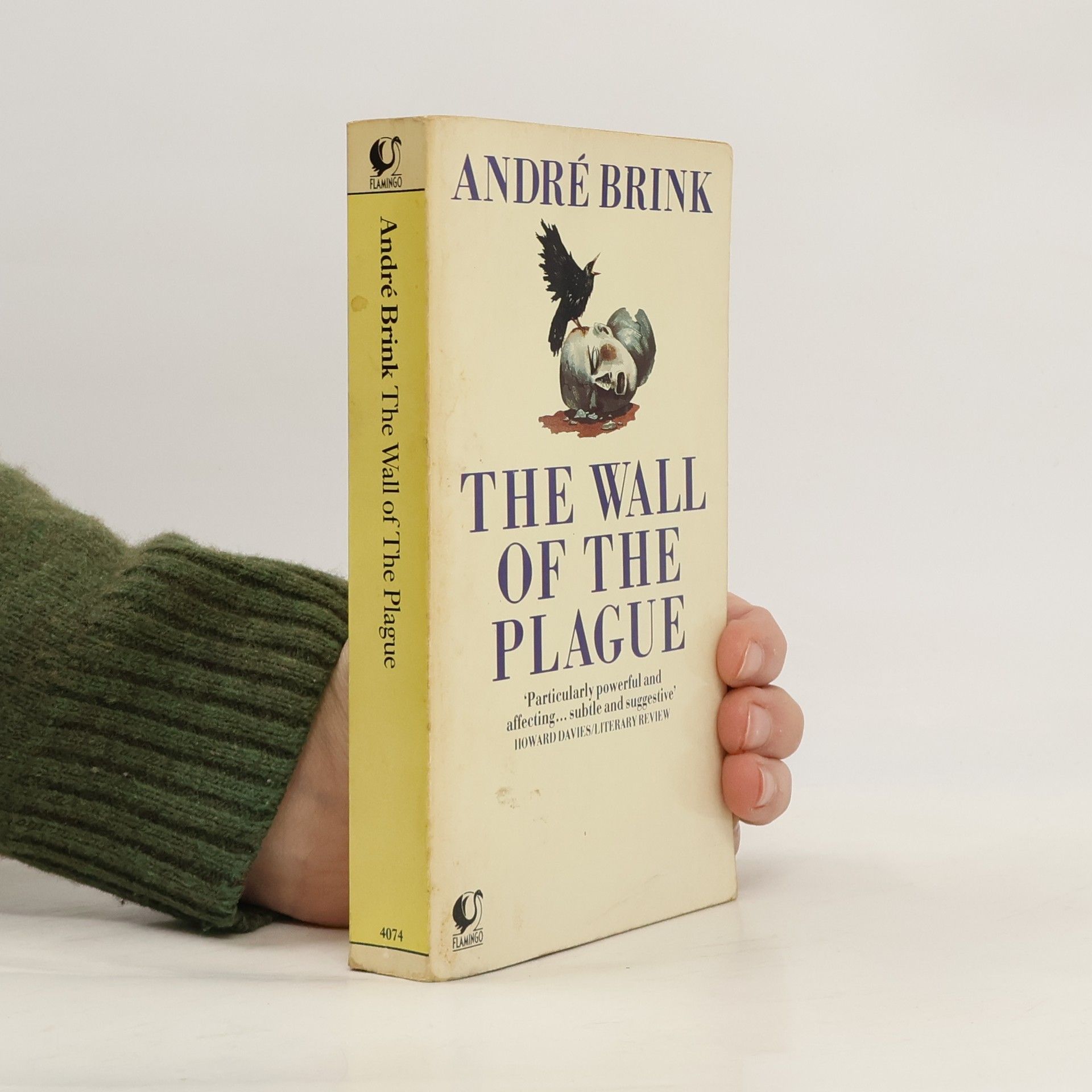 André Brink The Wall of the Plague