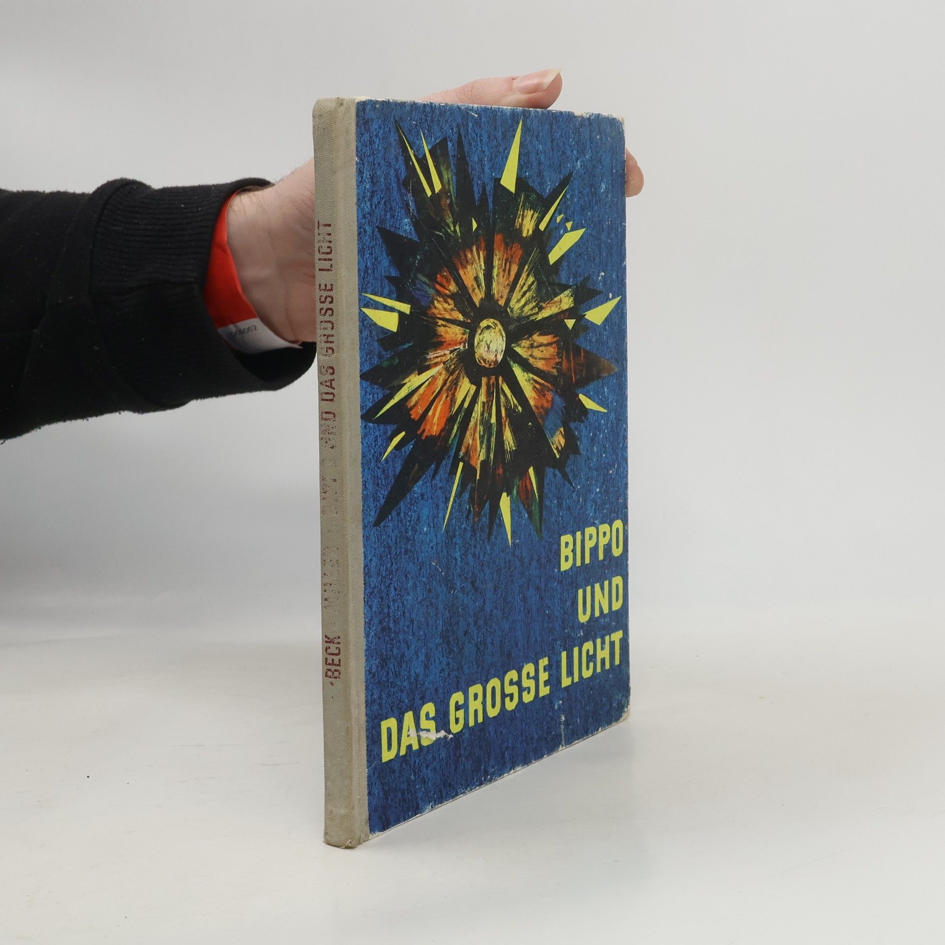 Bippo und das grosse Licht