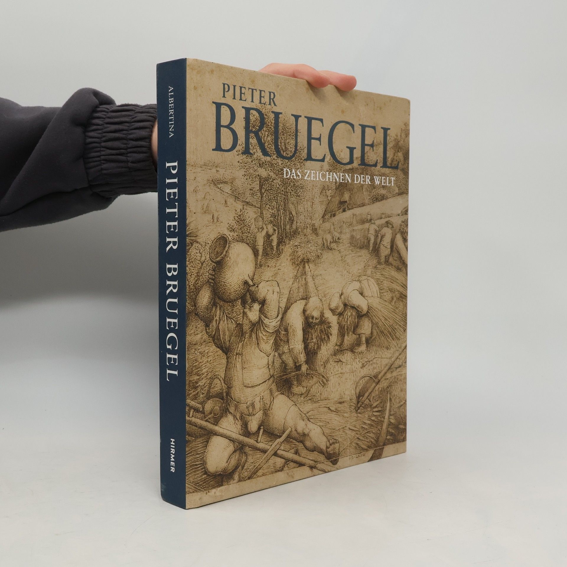 Pieter Bruegel - das Zeichnen der Welt
