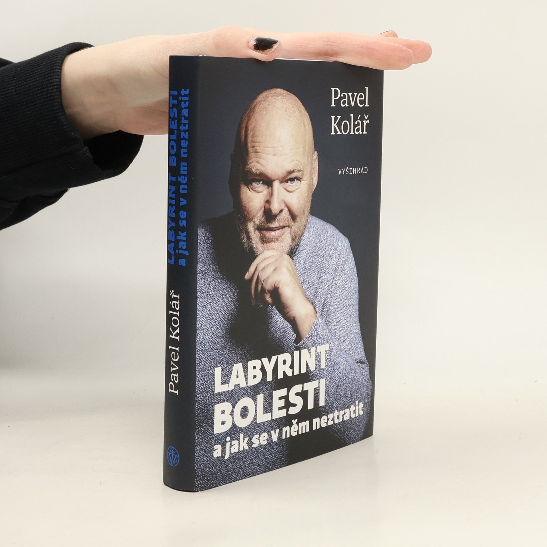 Pavel Kolář Labyrint bolesti a jak se v něm neztratit