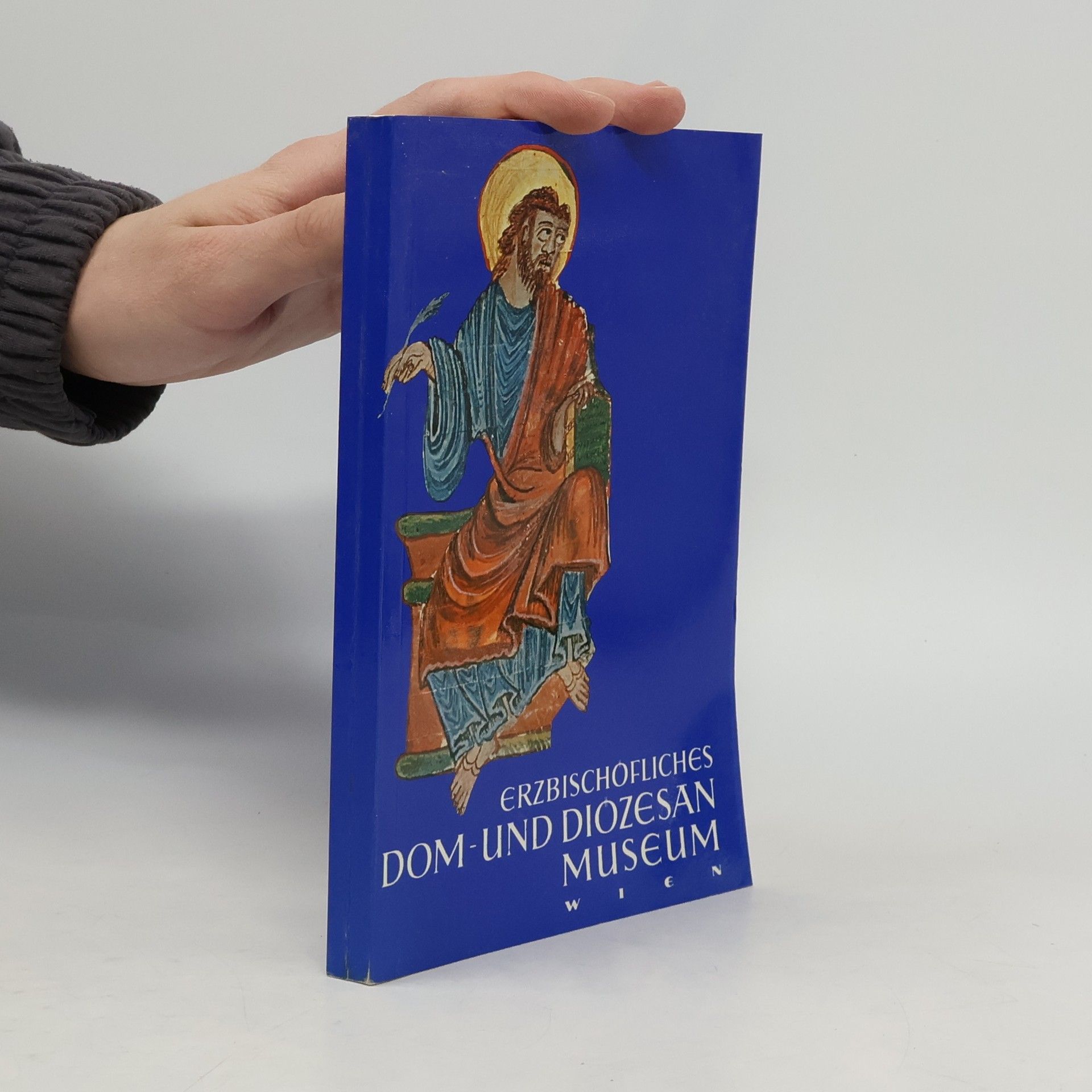 Kolektiv autorů Erzbischöfliches dom-und diözesan museum