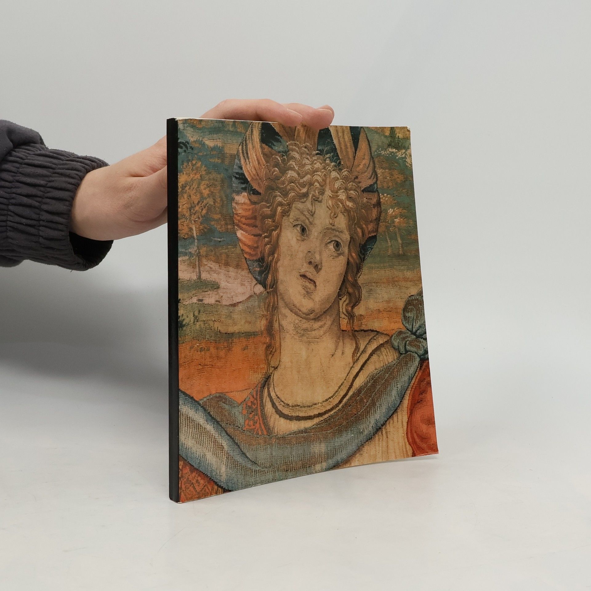 Tapisserien der Renaissance nach Entwürfen von Pieter Coecke van Aelst