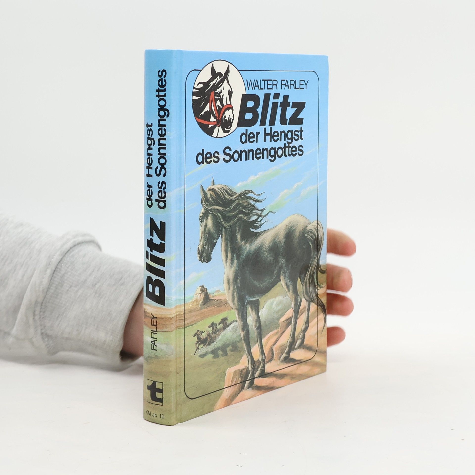 Walter Farley Blitz der Hengst des Sonnengottes