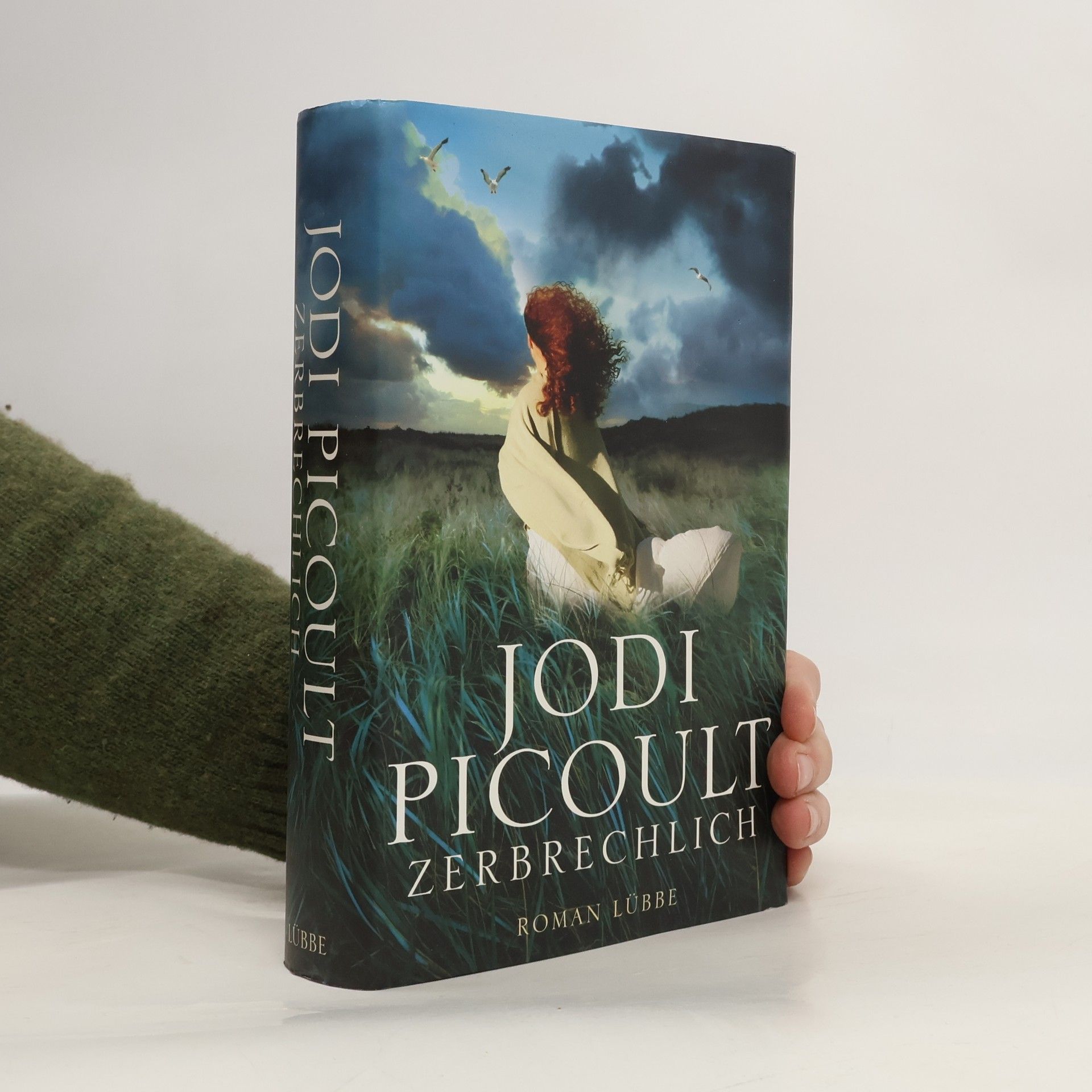 Jodi Picoult Zerbrechlich