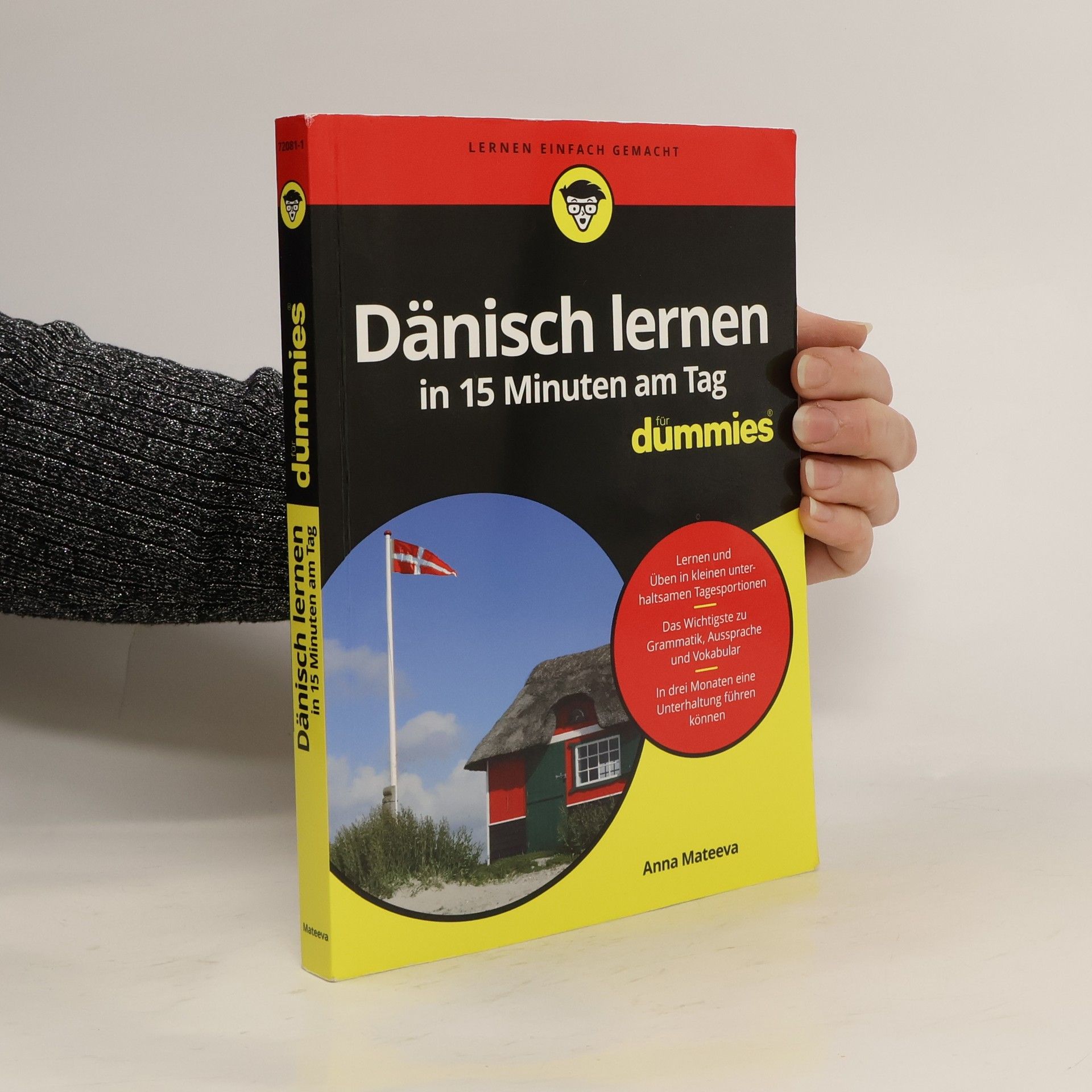 Anna Mateeva Dänisch lernen in 15 Minuten am Tag für Dummies