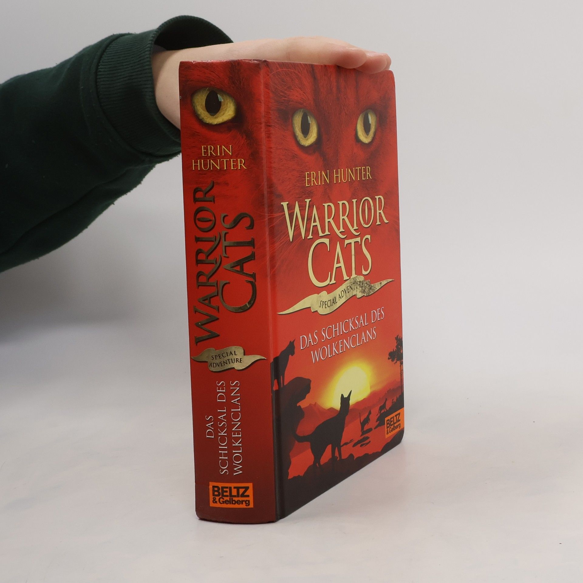Erin Hunter Warrior Cats: Das Schicksal des WolkenClans