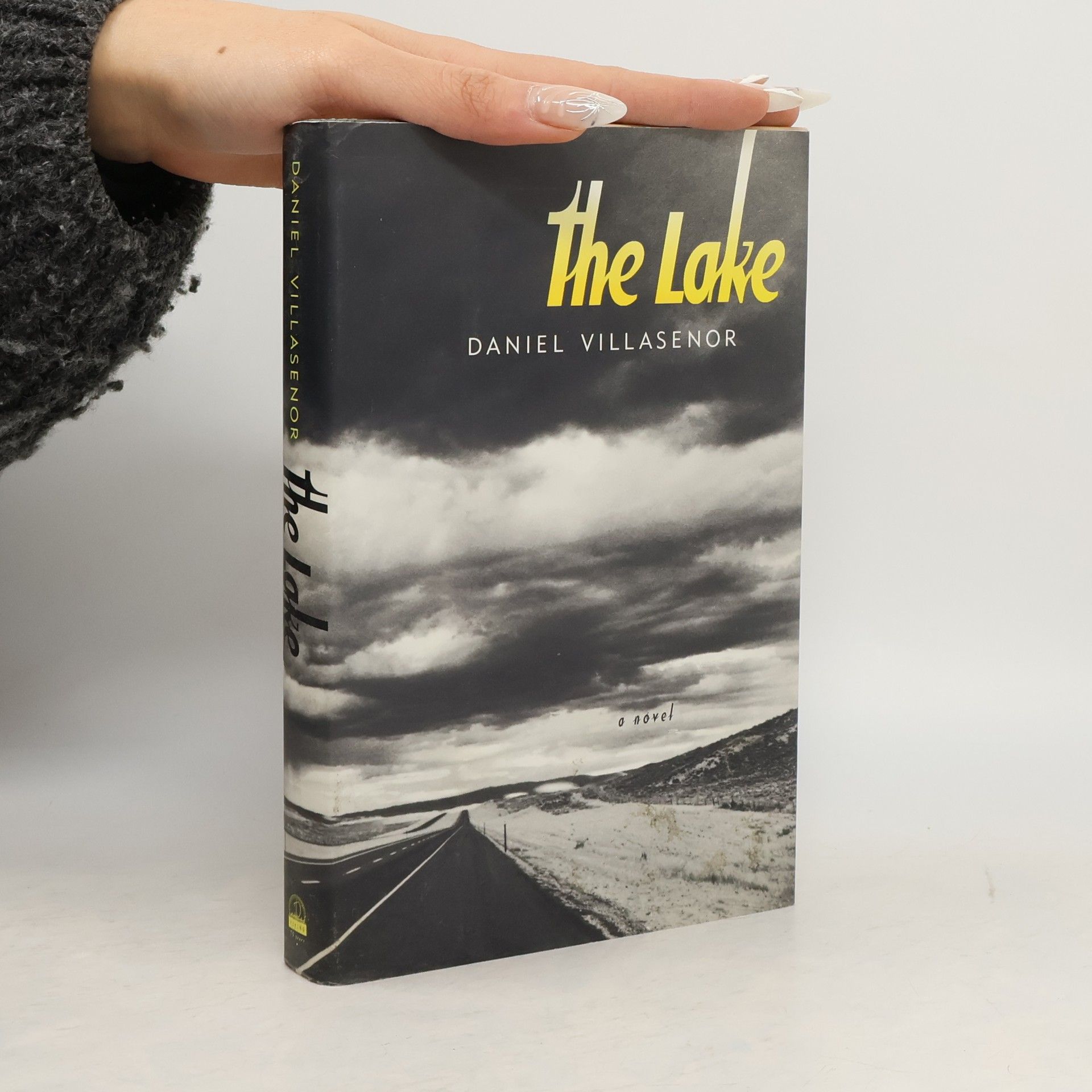 Daniel Villasenor The Lake