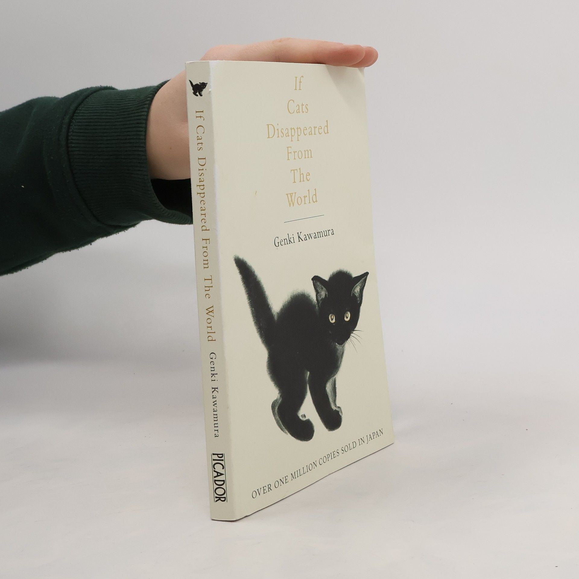 Genki Kawamura If Cats Disappeared from the World