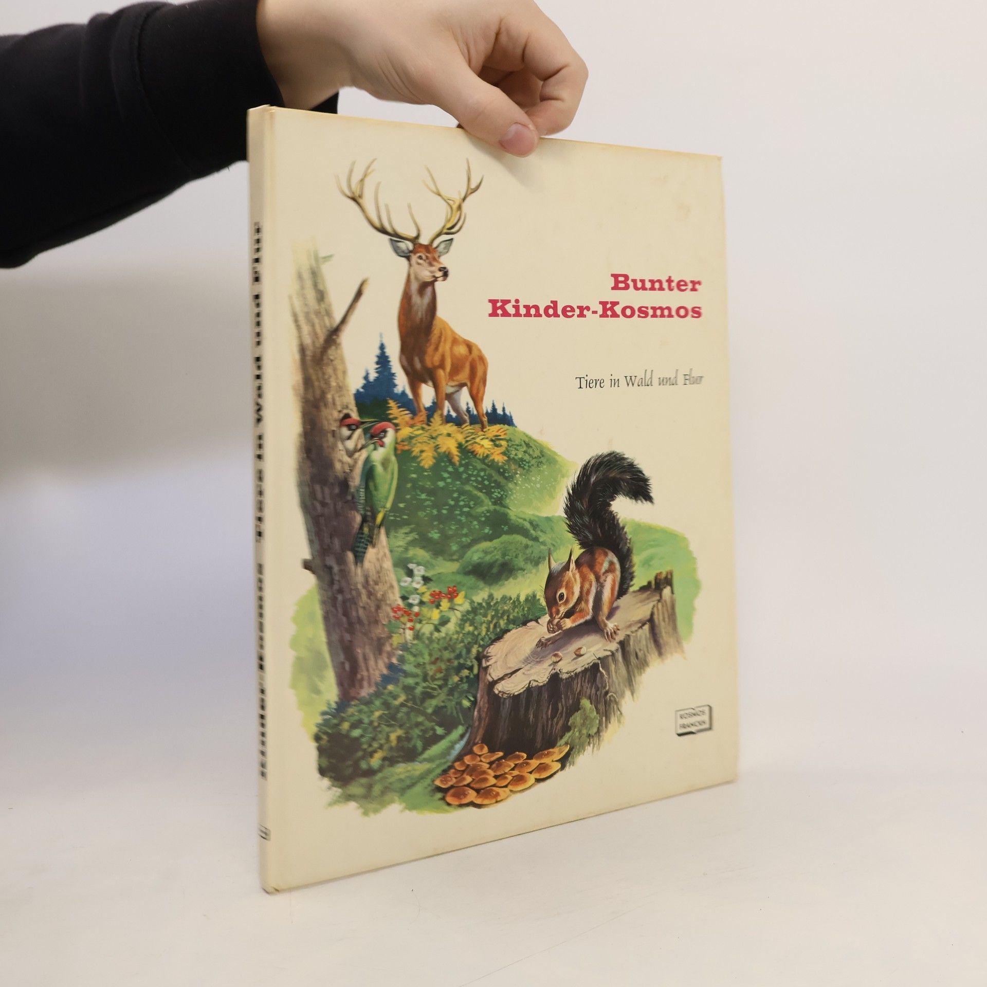 Rinaldo D. D'Ami Tiere in Wald und Flur