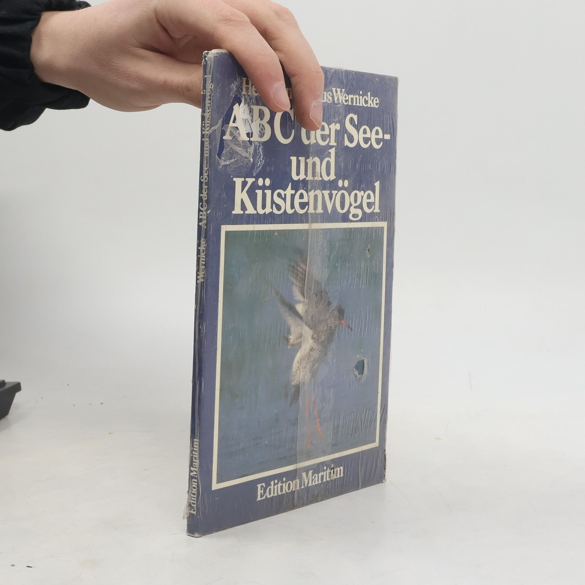 ABC der See- und Küstenvögel