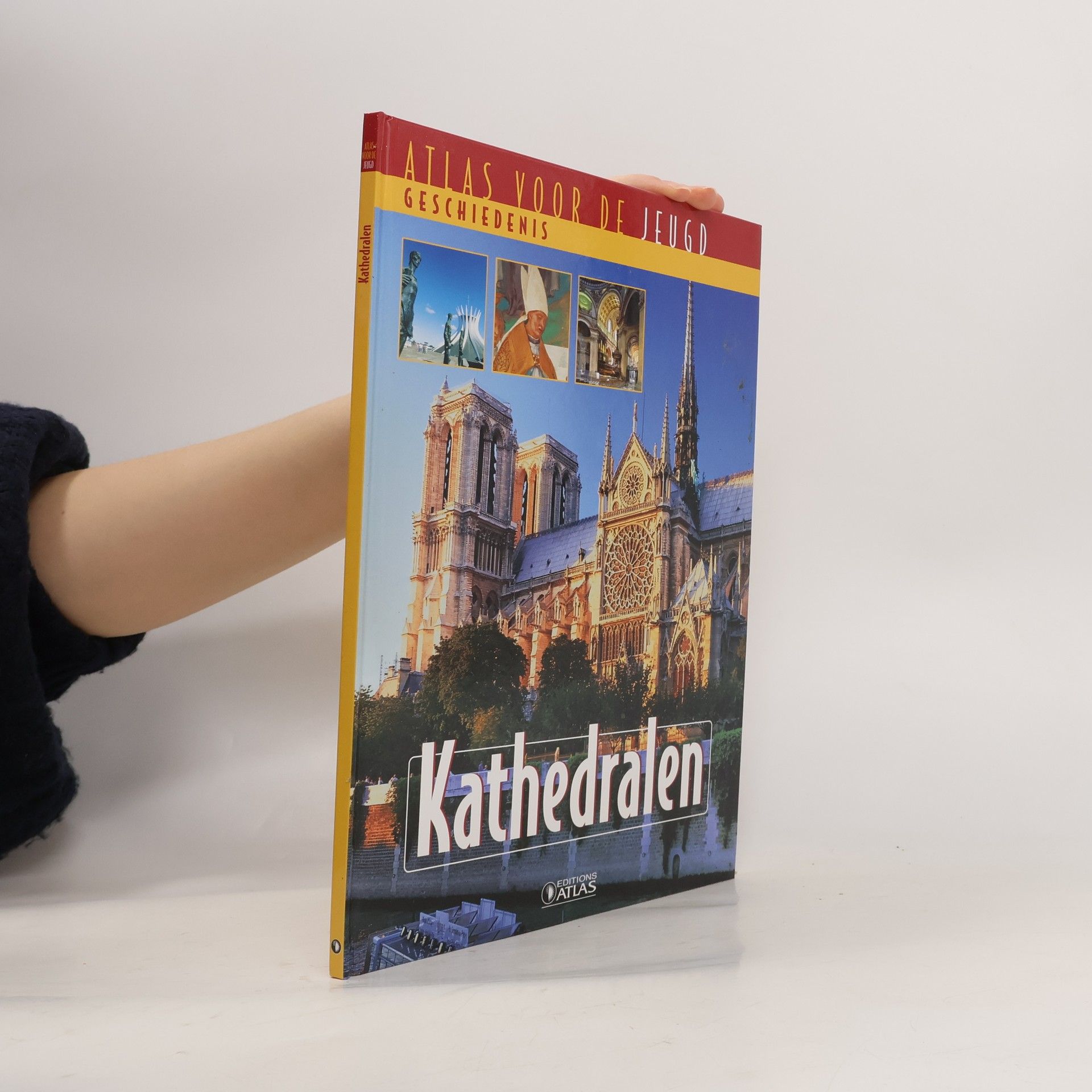 Collectif d'auteurs Die Kathedralen