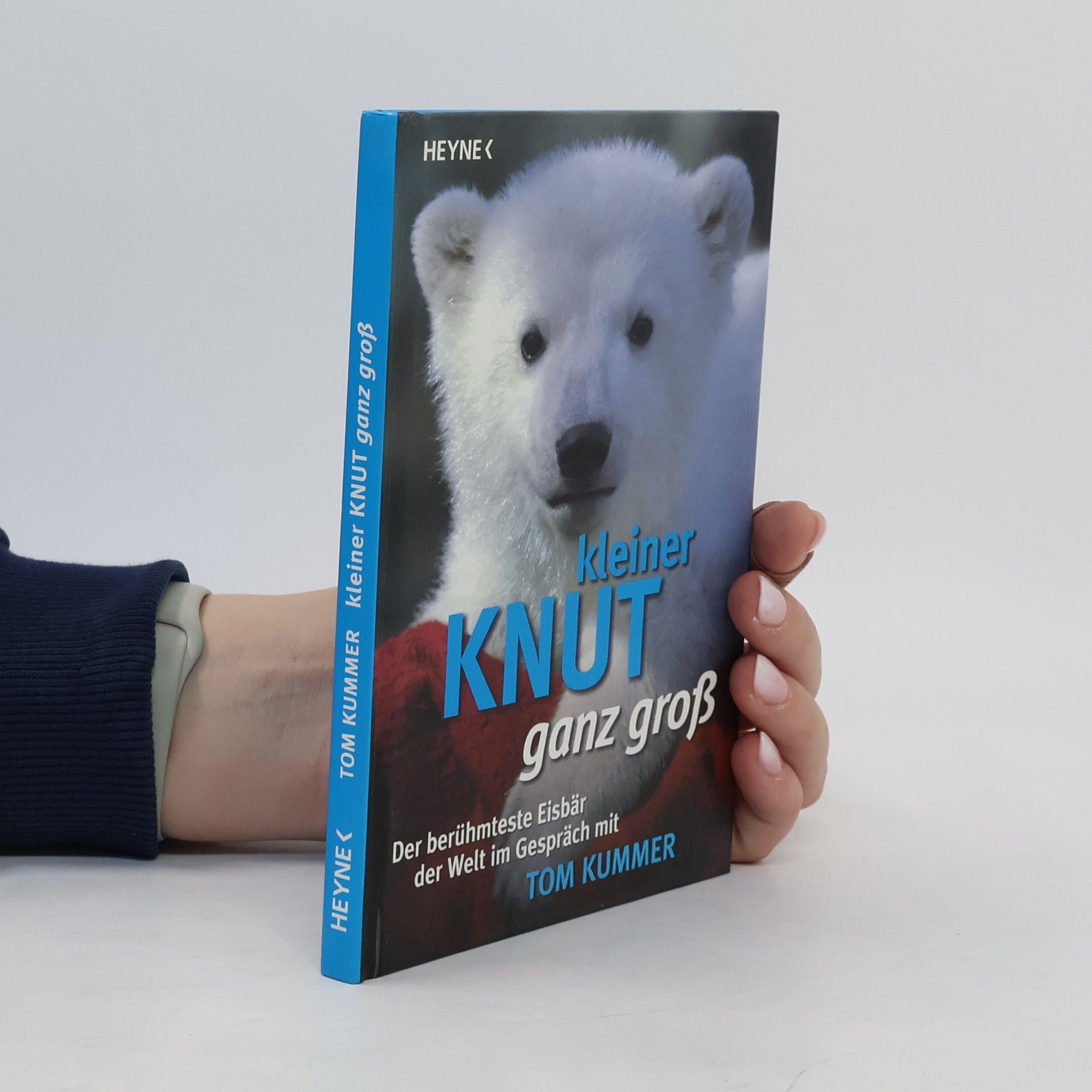 Kleiner Knut ganz groß