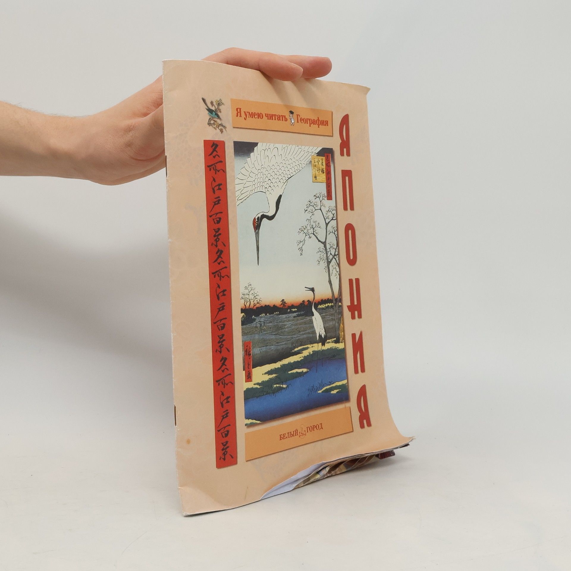 Лаврова Светлана Аркадьевна  Япония