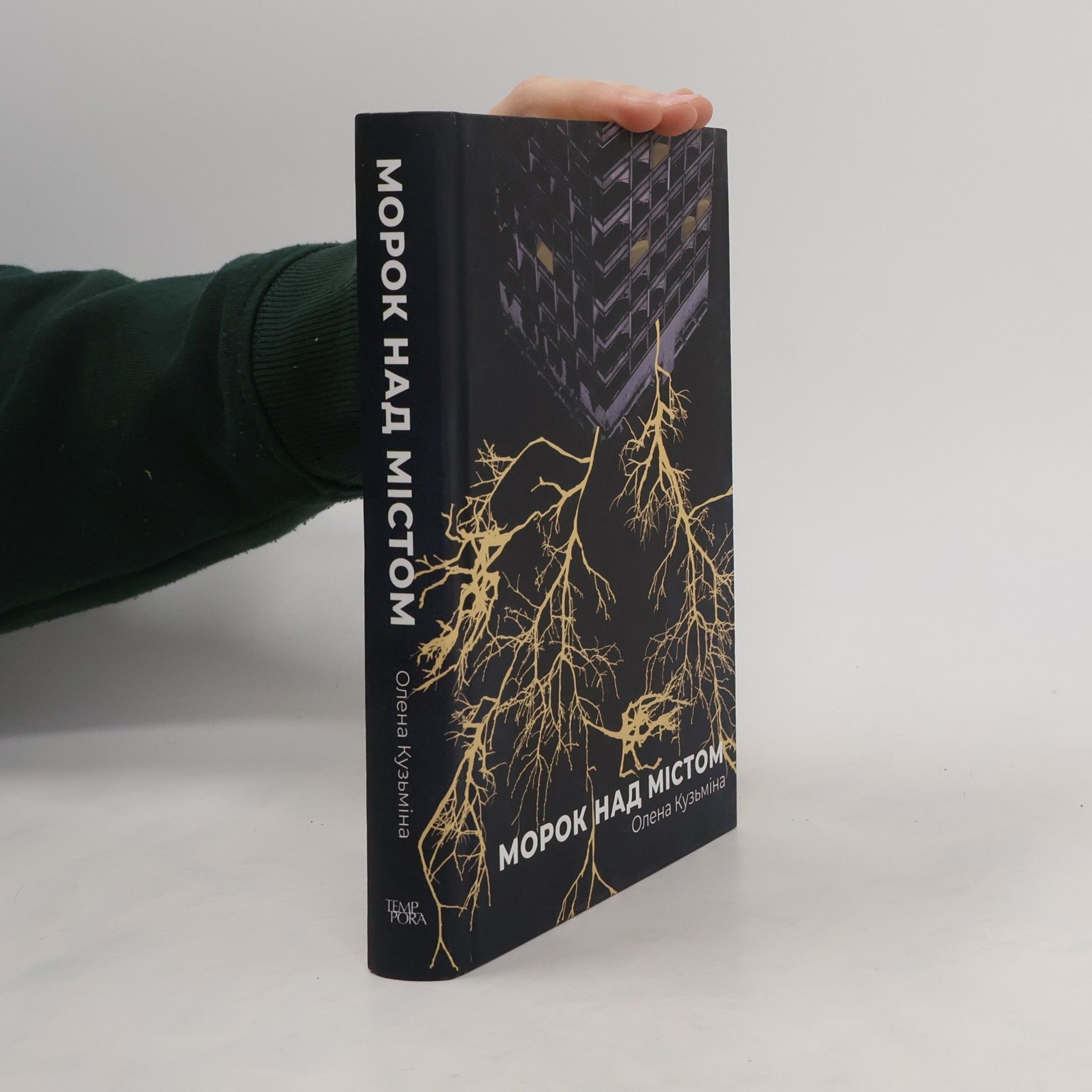 Olena Kuzmina Морок над містом