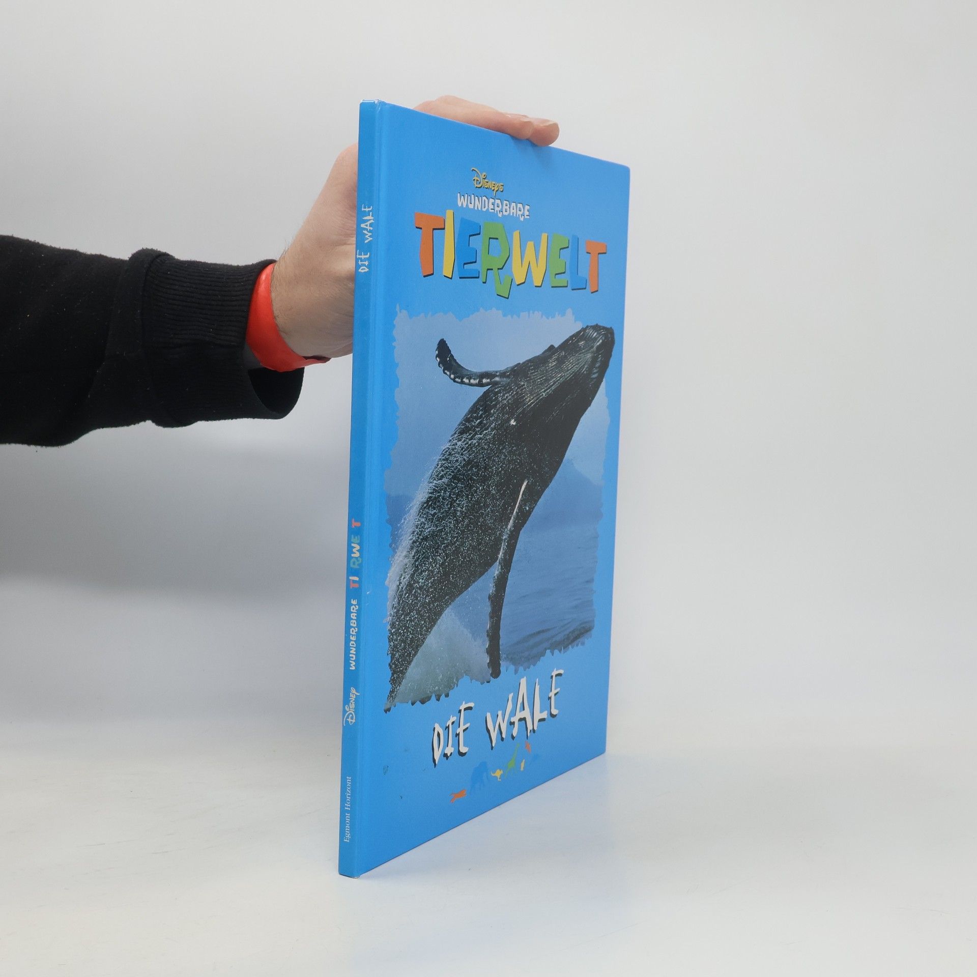 AA.VV. Wunderbare Tierwelt. Die Wale