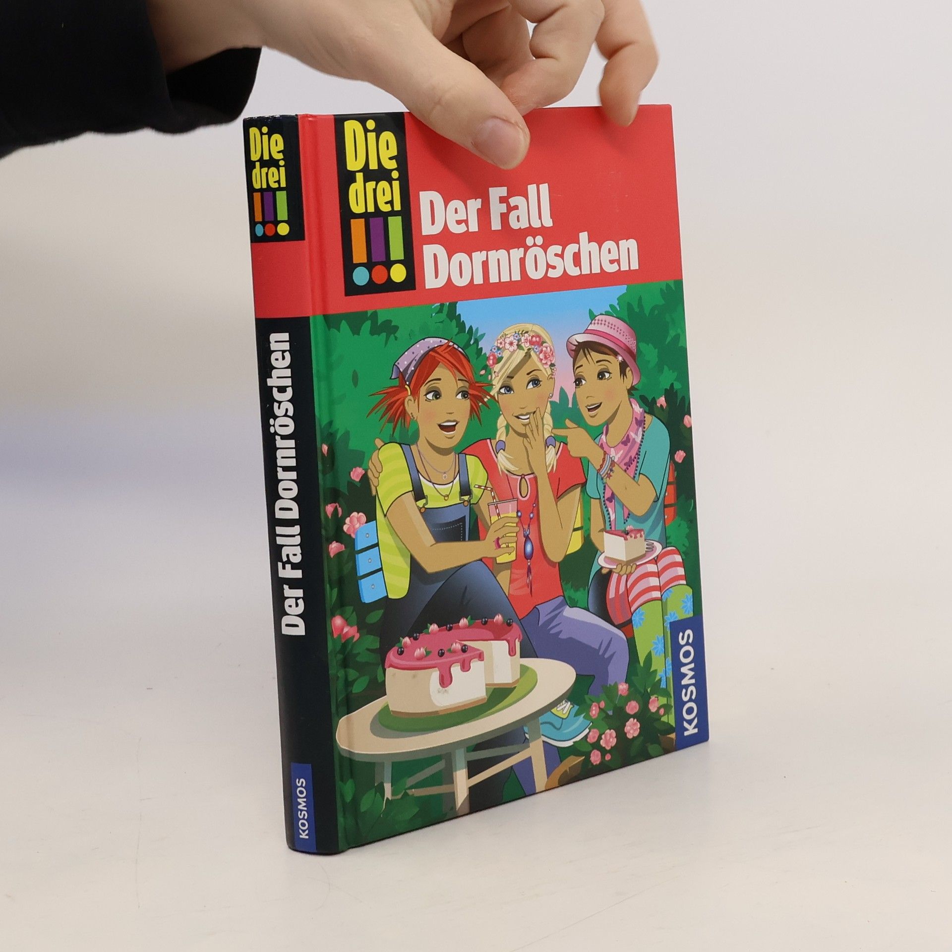 Kari Erlhoff Der Fall Dornröschen