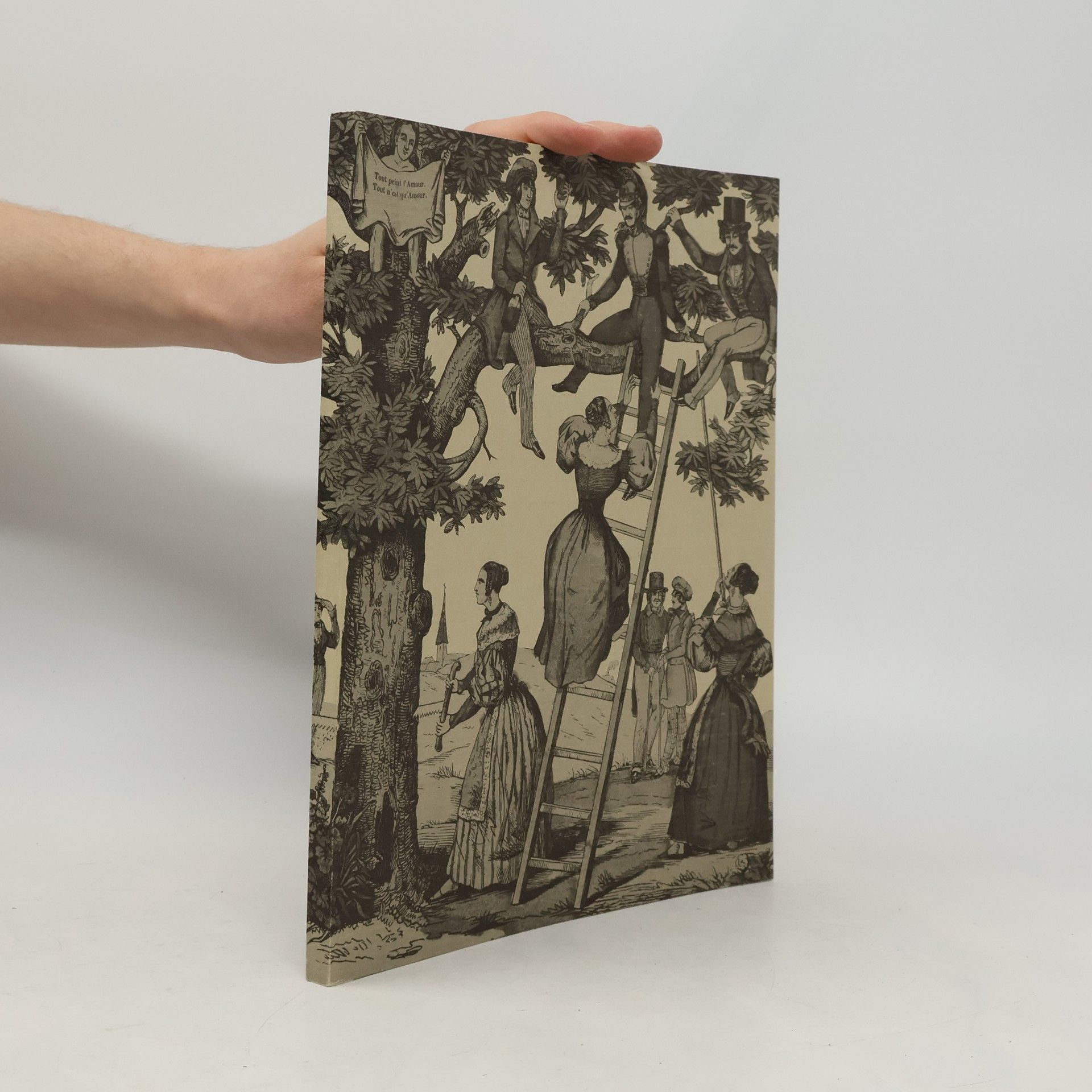 Kolektív autorov Französische Bilderbogen des 19. Jahrhunderts