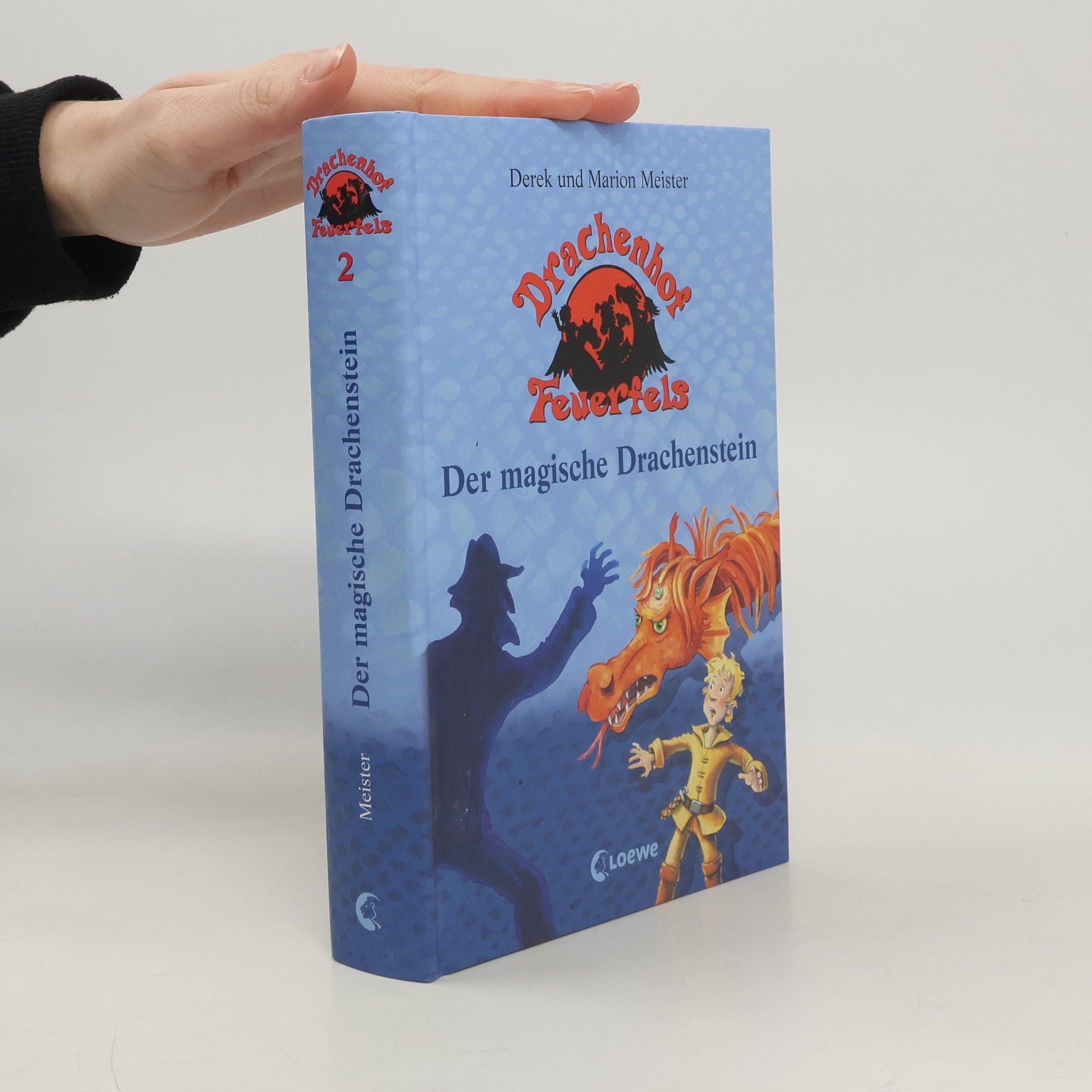 Derek Meister Der magische Drachenstein